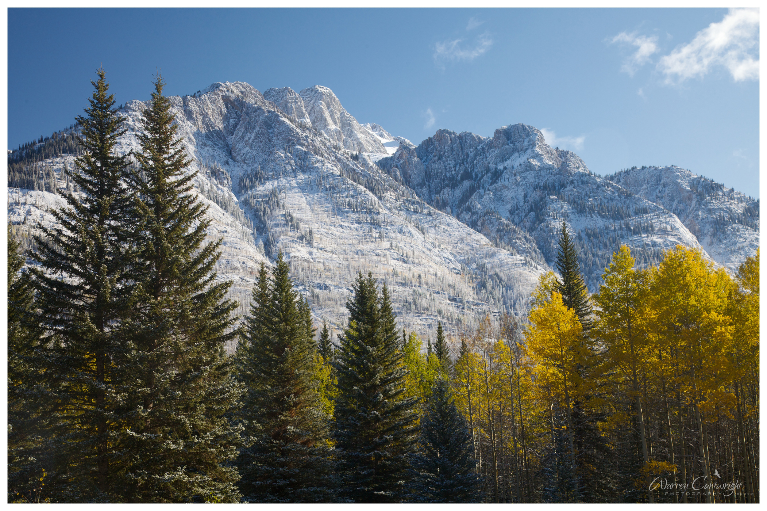 banff_aspens.jpg