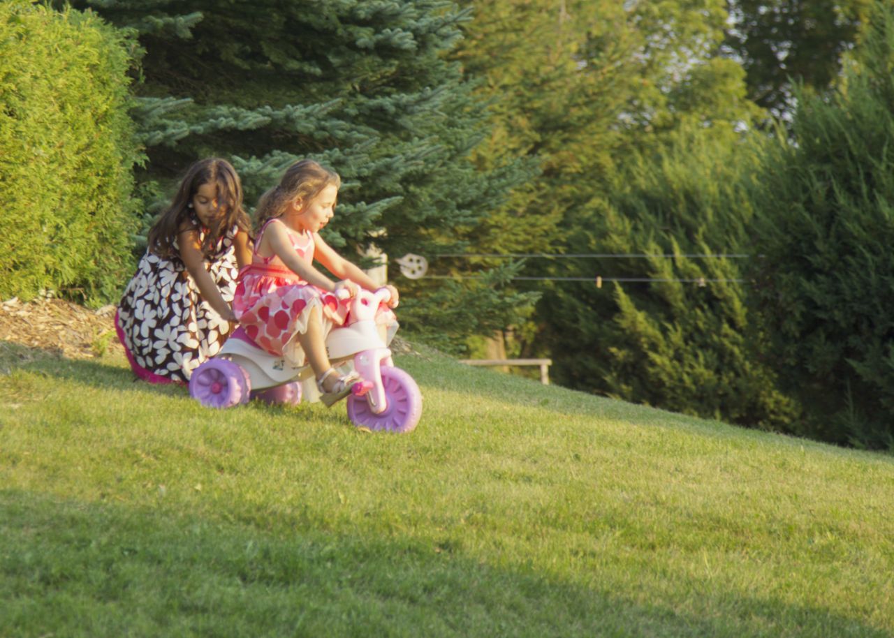 20120825D 34941.jpg