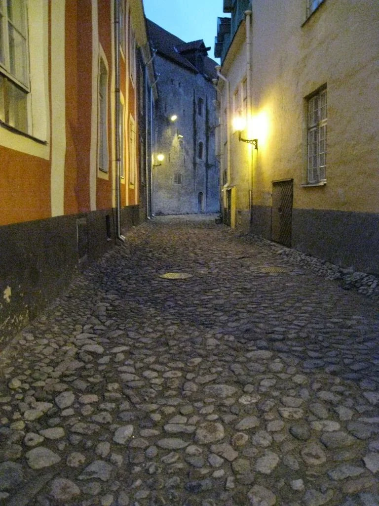 08Tallinn_cobblestone.JPG