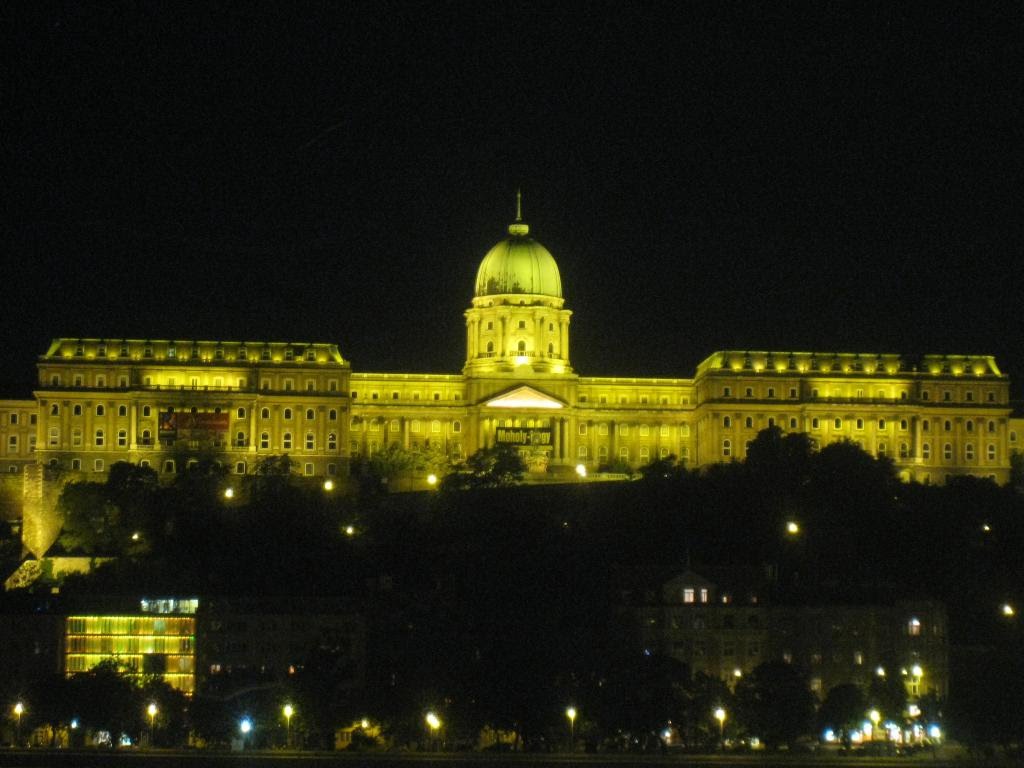 08Budapest_Castle_night.JPG