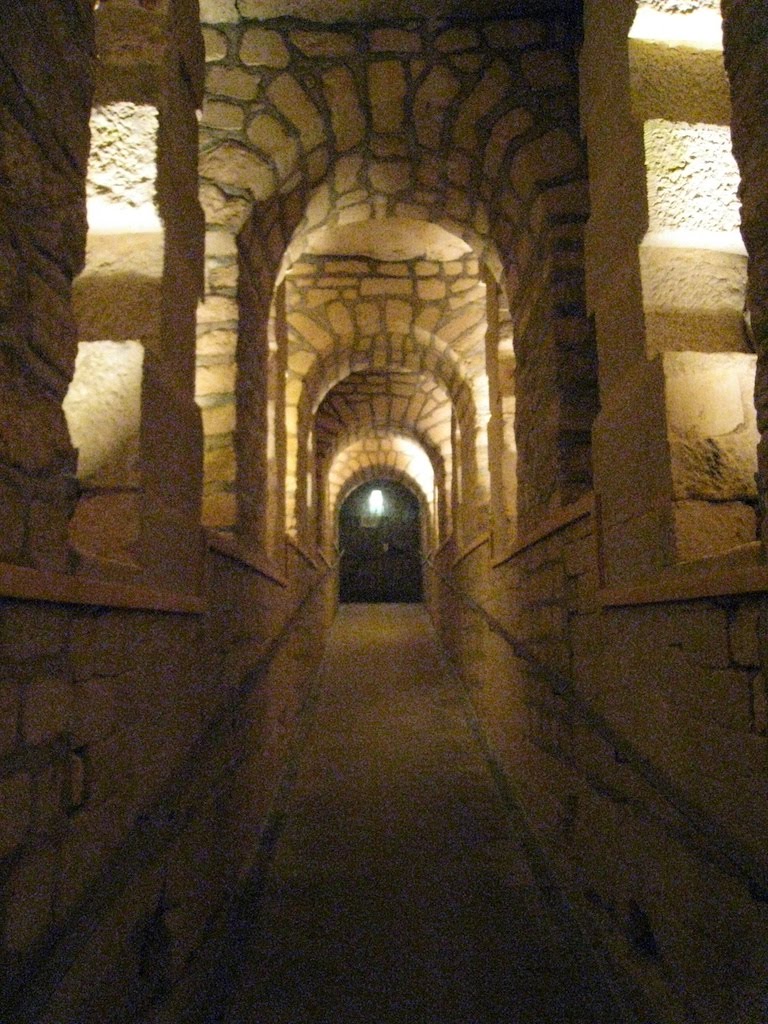 08Paris_cat_passage.jpg
