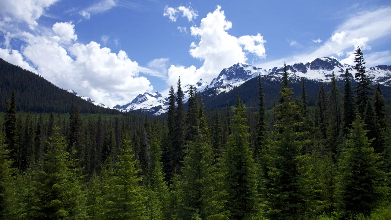 Just north of Pemberton, close to Joffrey Lakes.