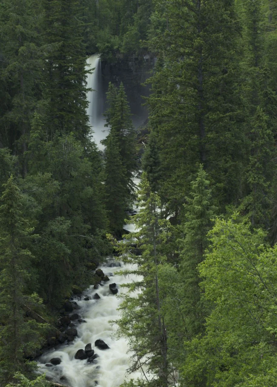 Camin Falls, off in the distance from the trail. If this had been the reason for the hike, I would have been very disappointed. 