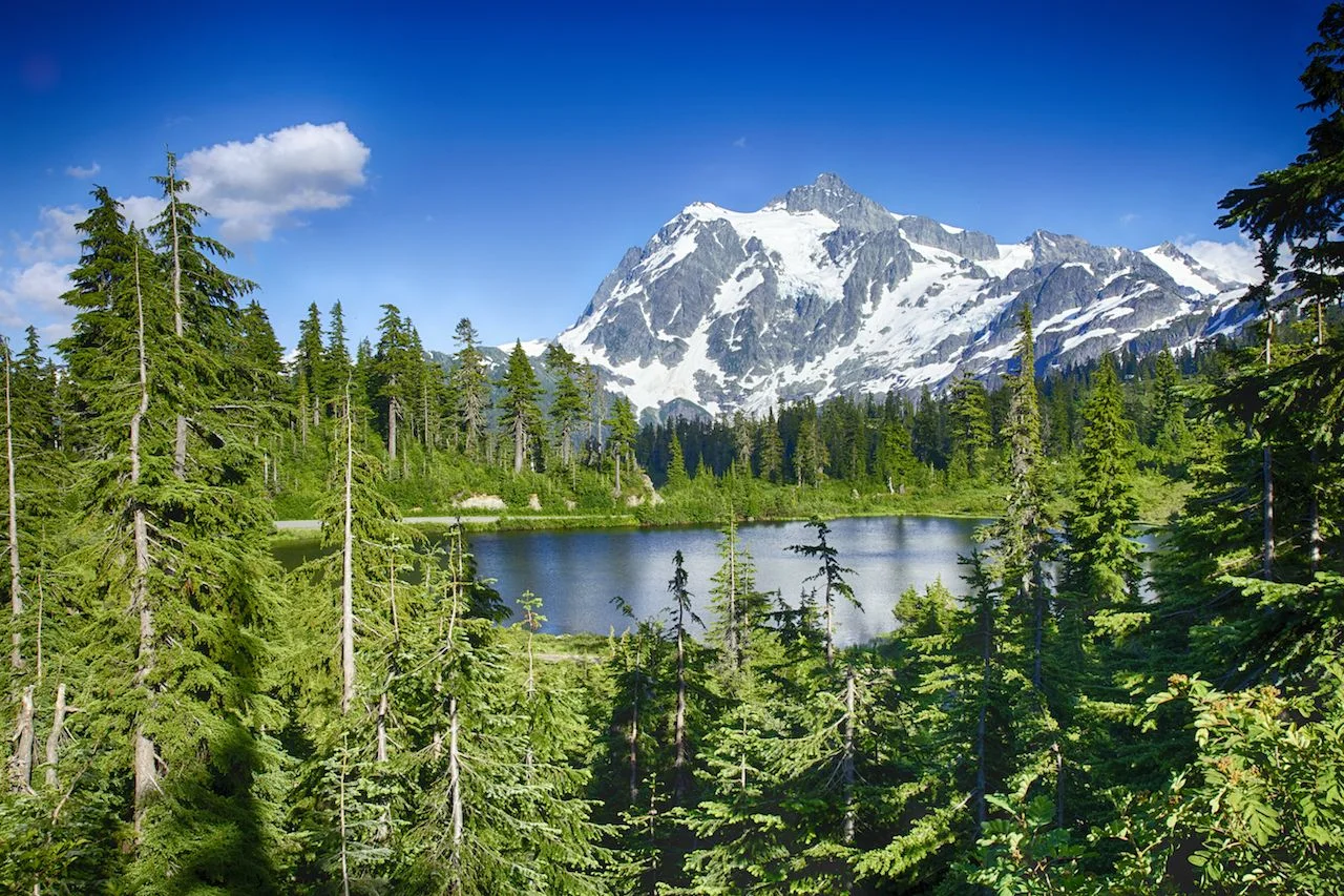 Near the ski hill at Mount Baker, this small mountain lake sits nestled in the trees.