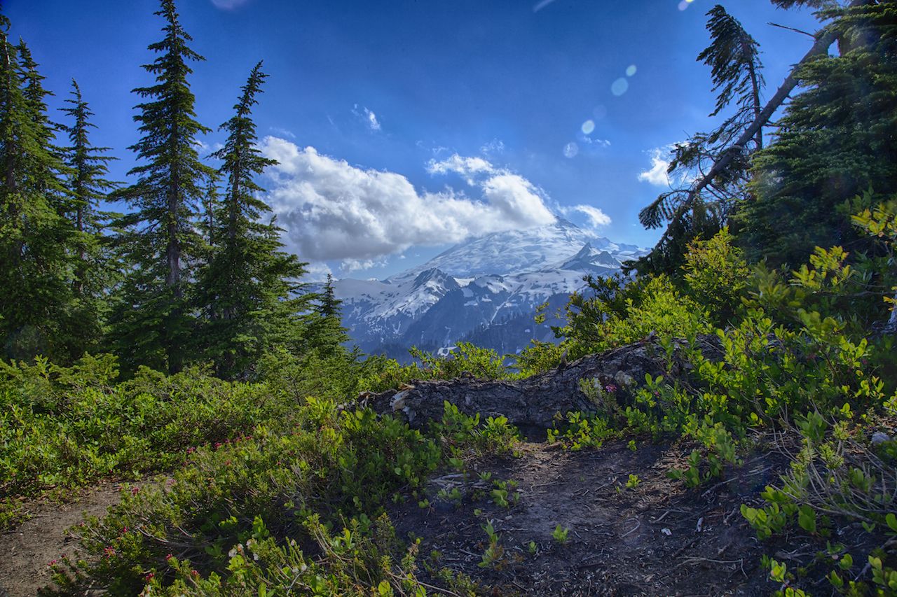 IMG_6014_HDR.jpg