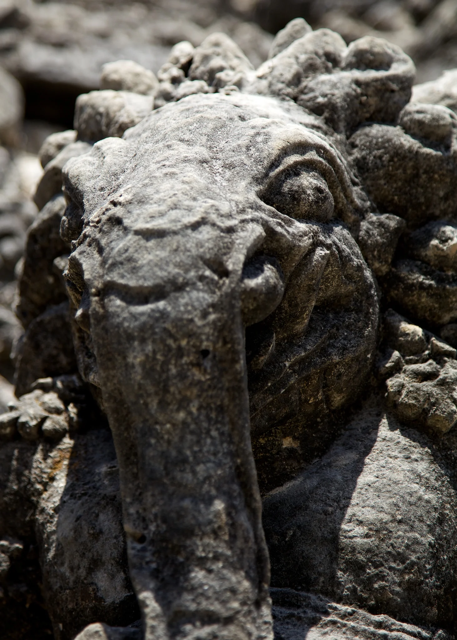 Bali 36270.jpg