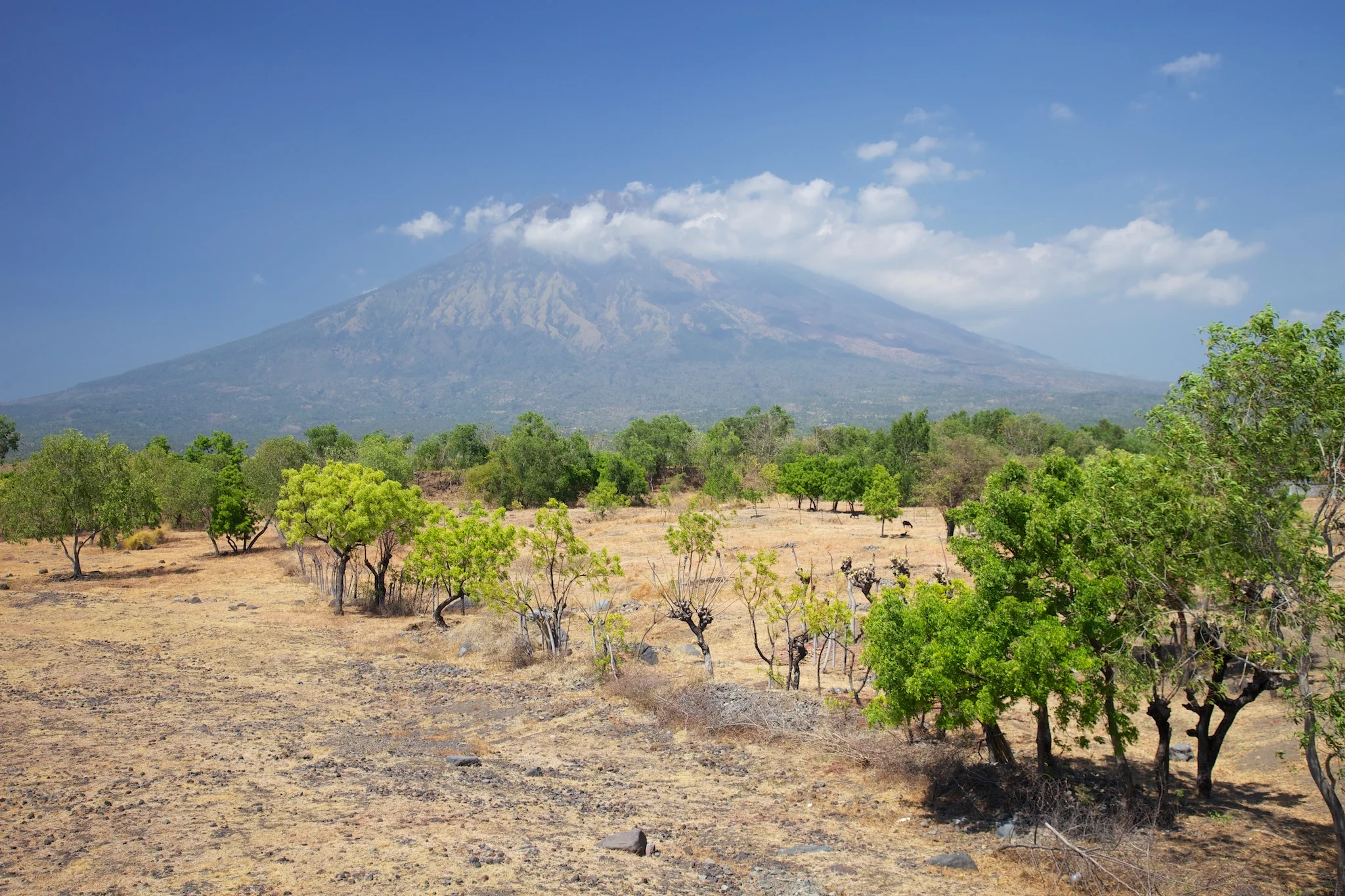 The volcanic Mount Agung was always in sight was we drove to the dive site. Still active, the volcano dominates all of Bali.