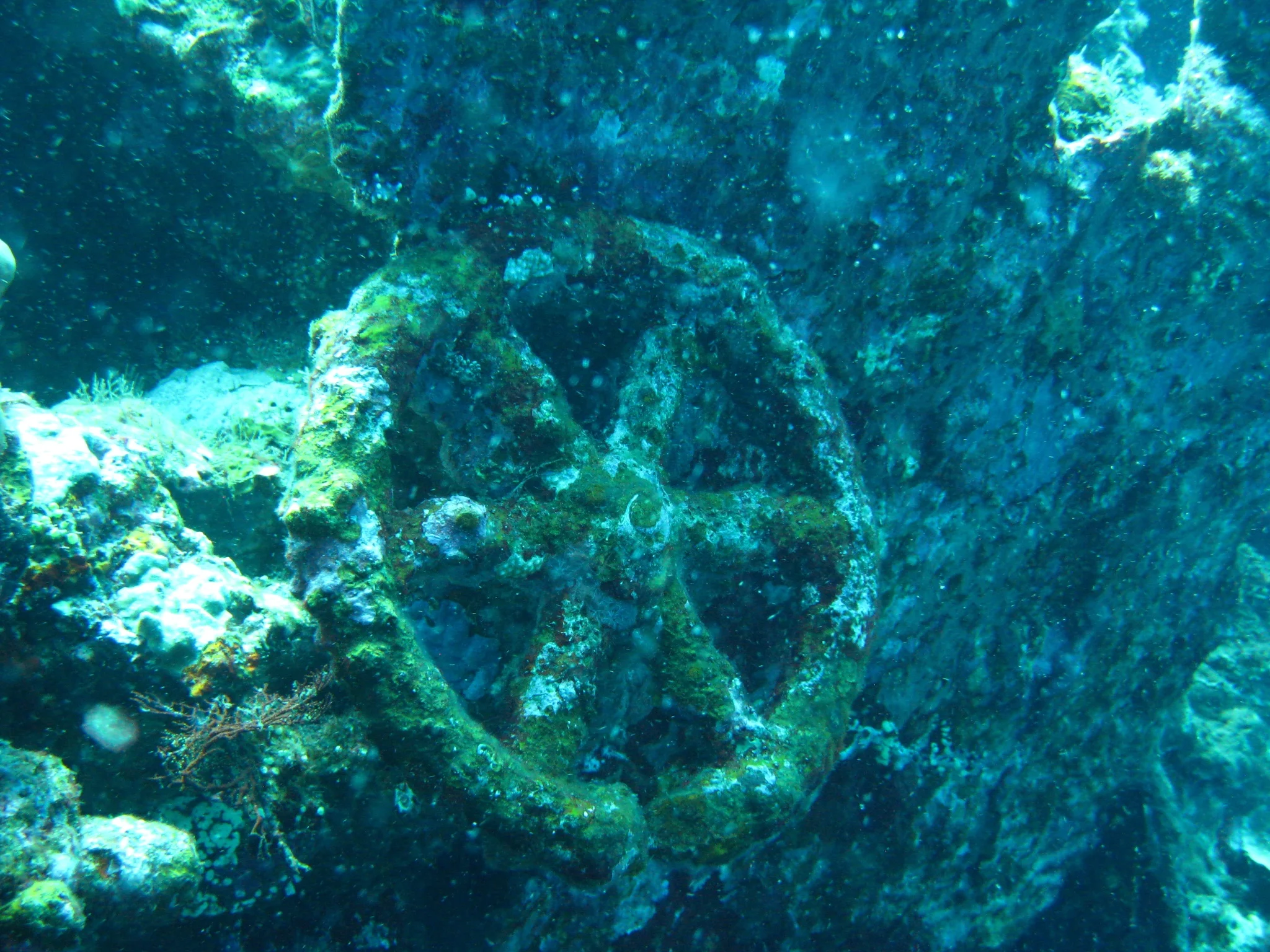 There are still pieces on this wreck that remind you that it was a ship at one point. 