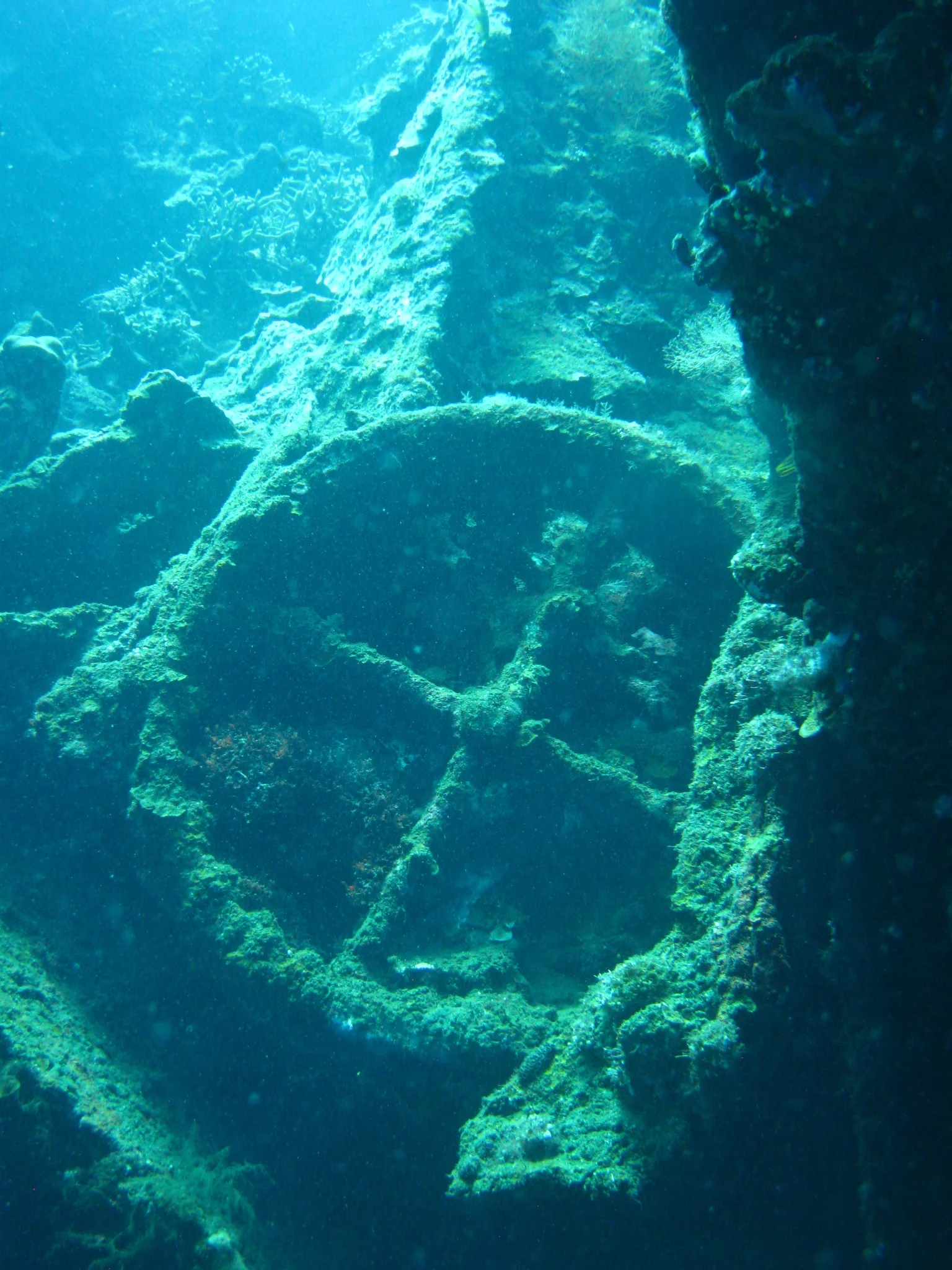 Bali  36330.jpg