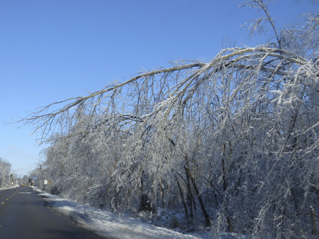 You didn't have to go far to see the effects of the ice.