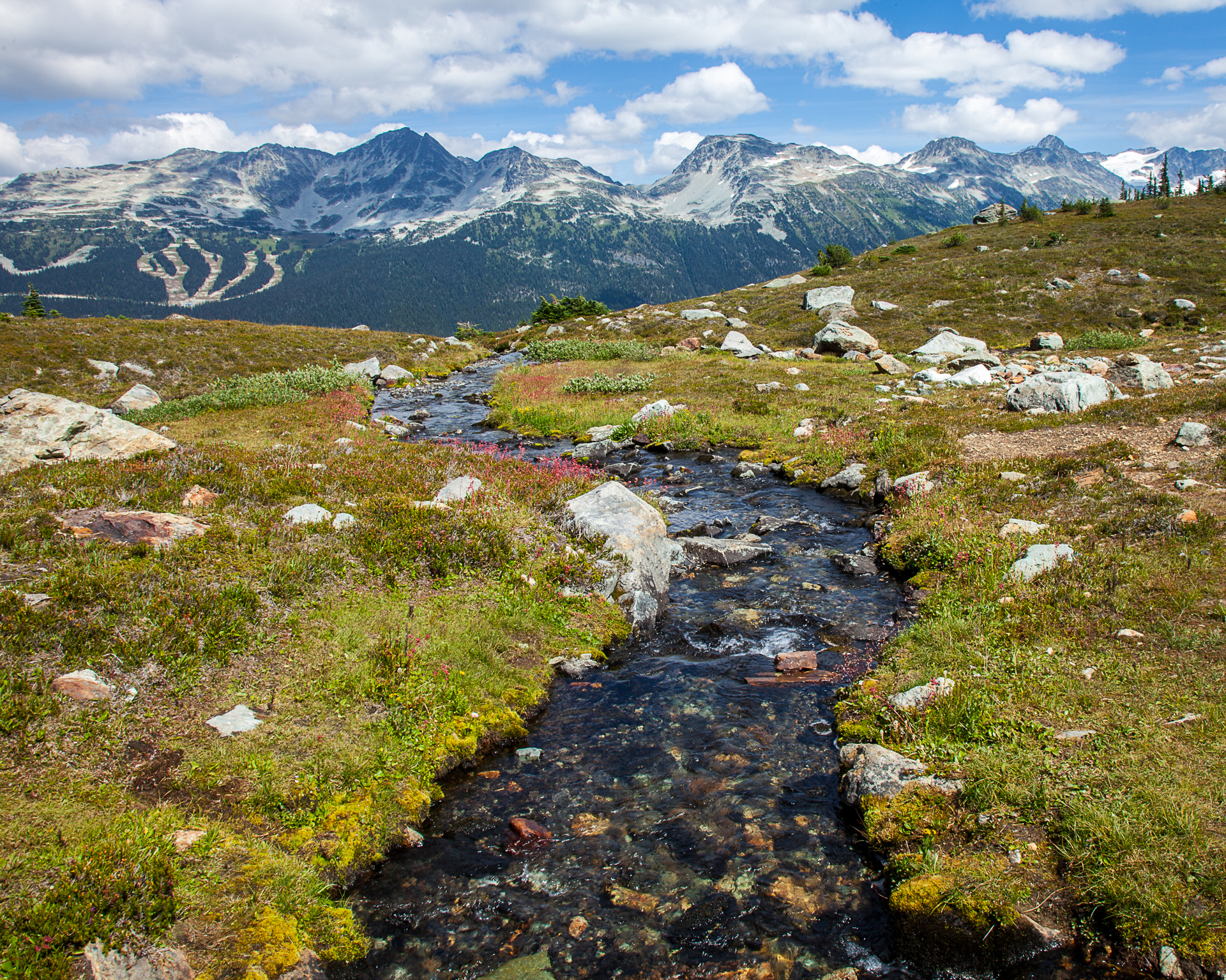 Whislter-22.jpg