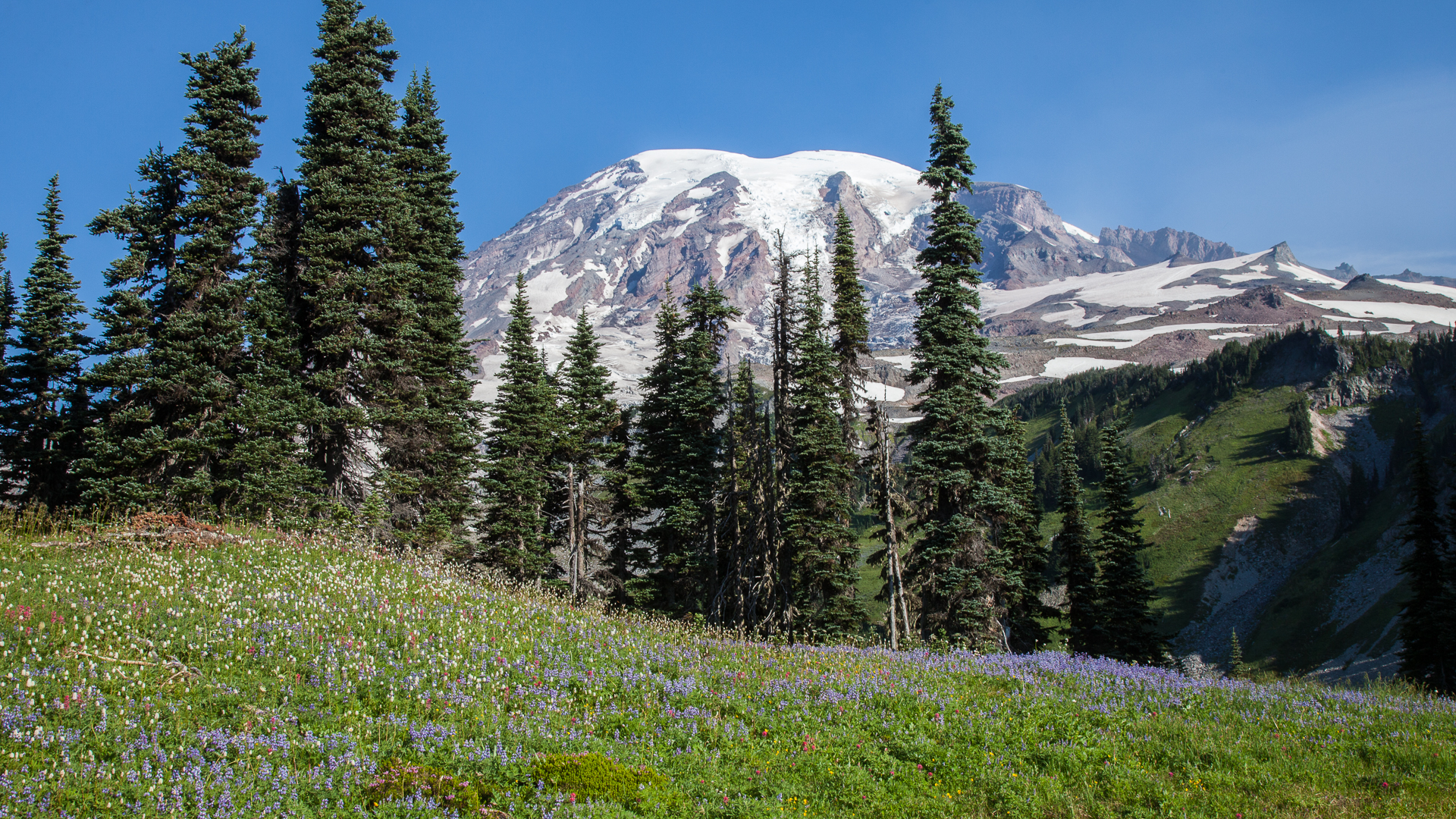 Mount Rainier_Sat-31.jpg