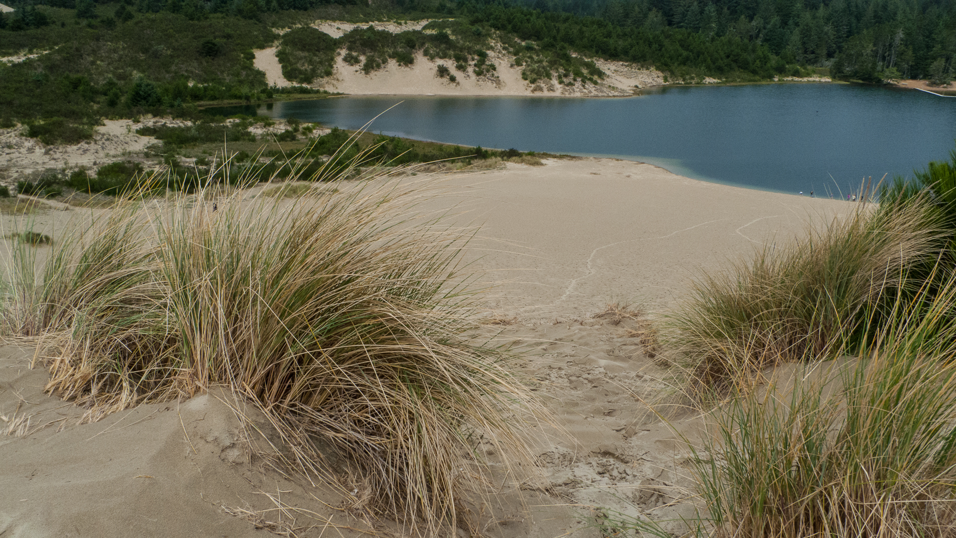 Coast-6.jpg