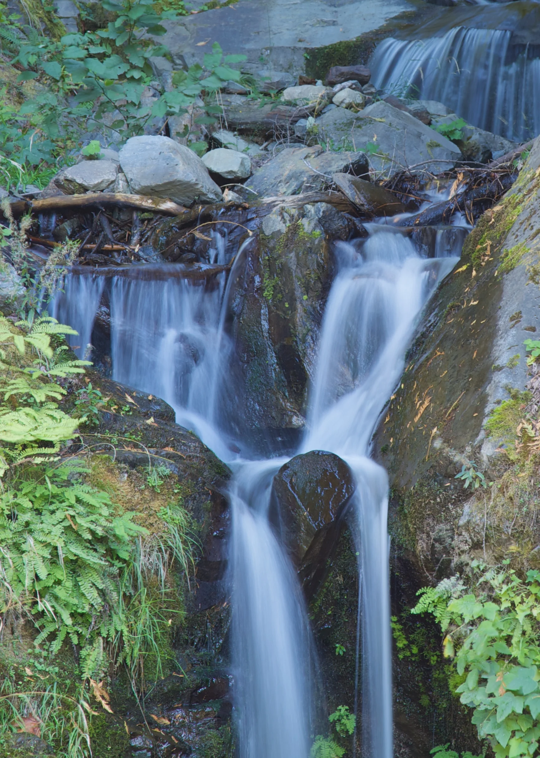 HarrisonLake++6156+-+Version+2-673948681-O.jpg