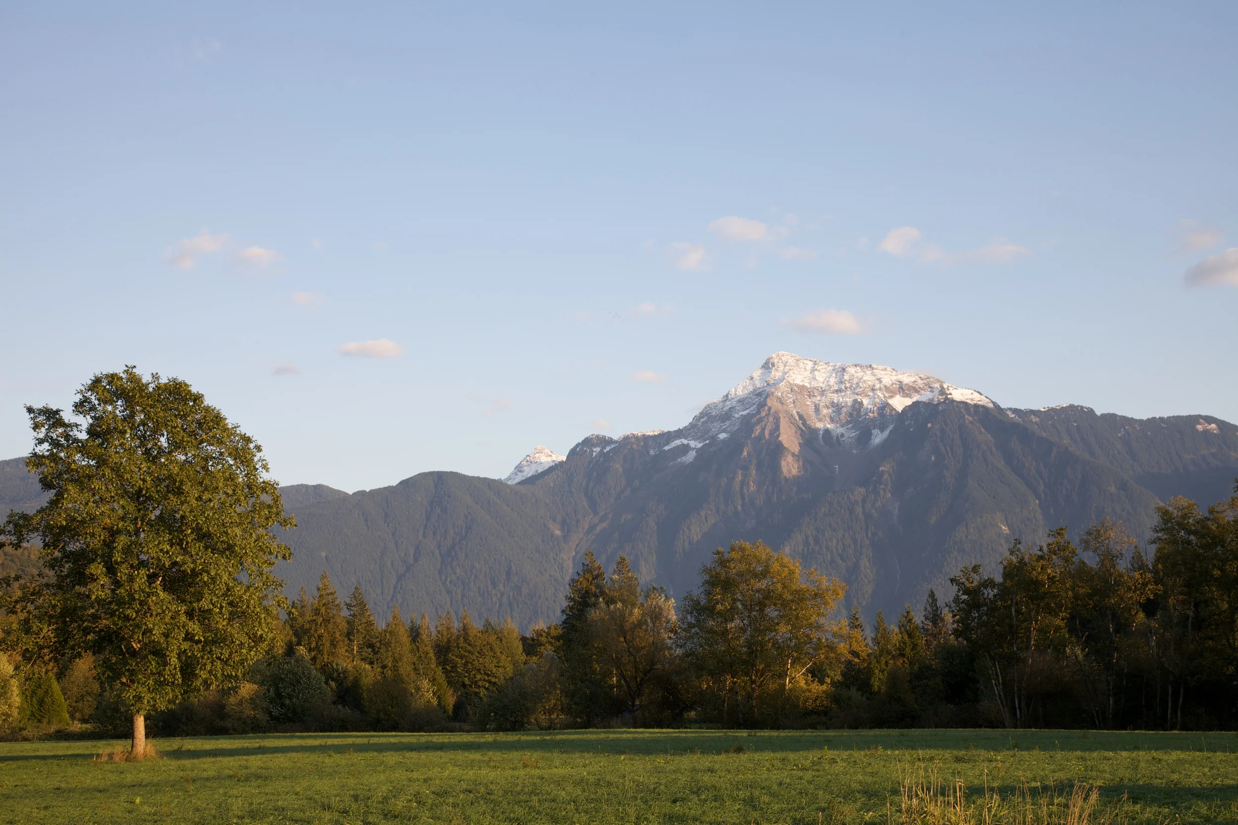 HarrisonLake++6203-673948430-O.jpg