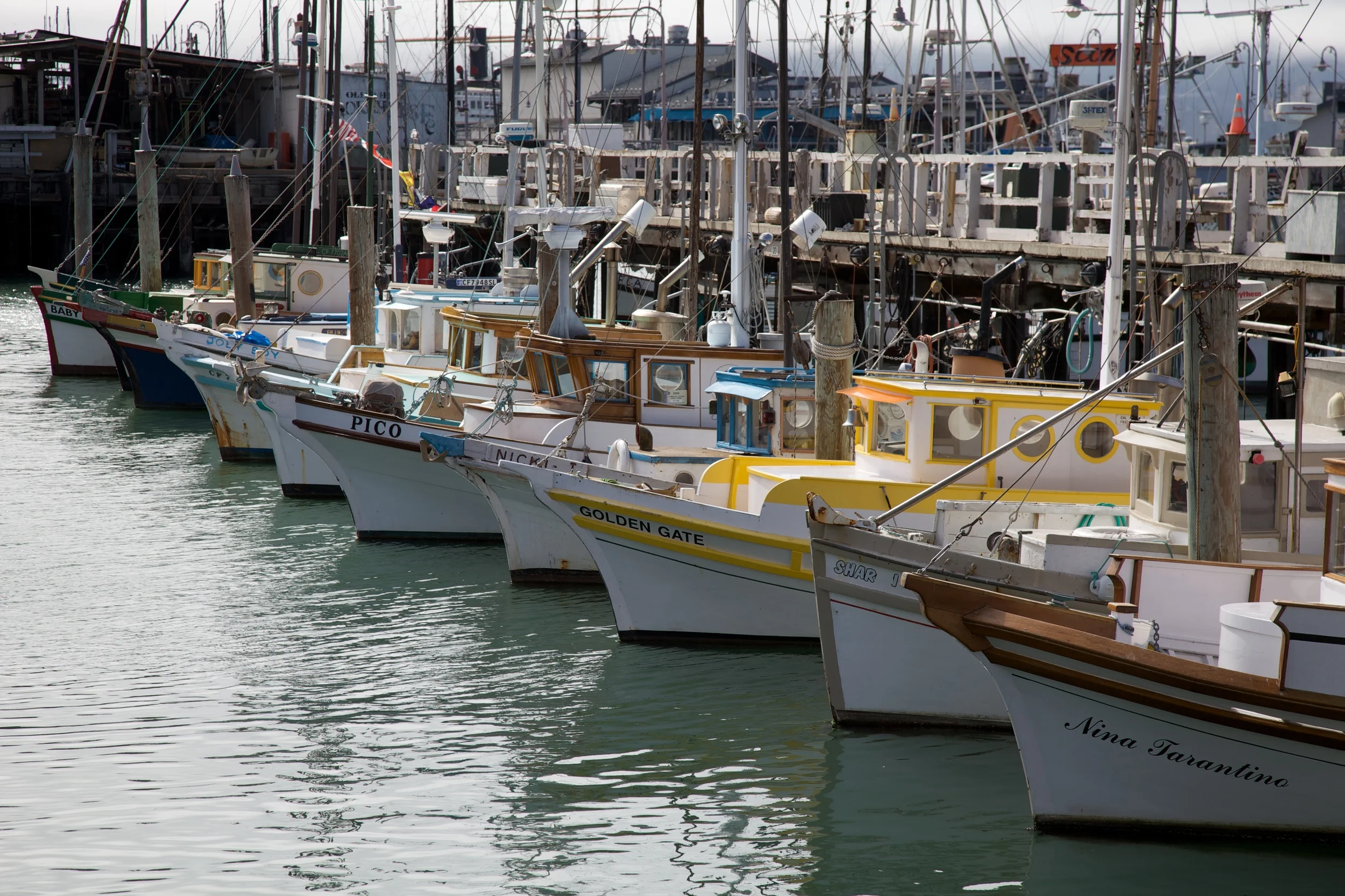 SanFran++5495+3-661259906-O.jpg