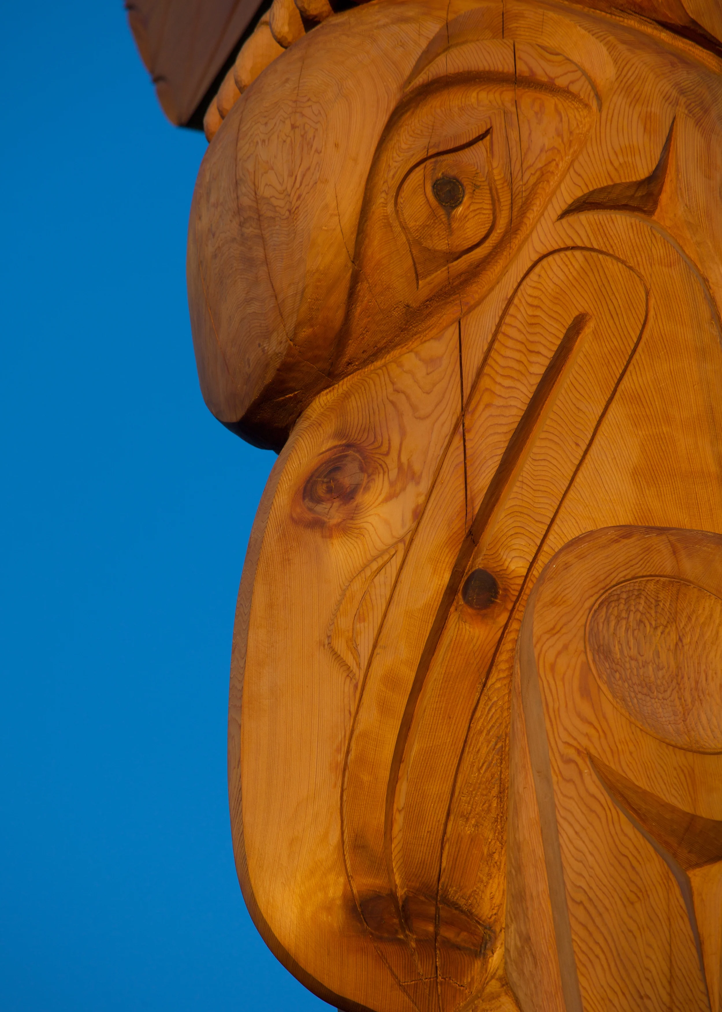 Vancouver++7287-735060706-O.jpg