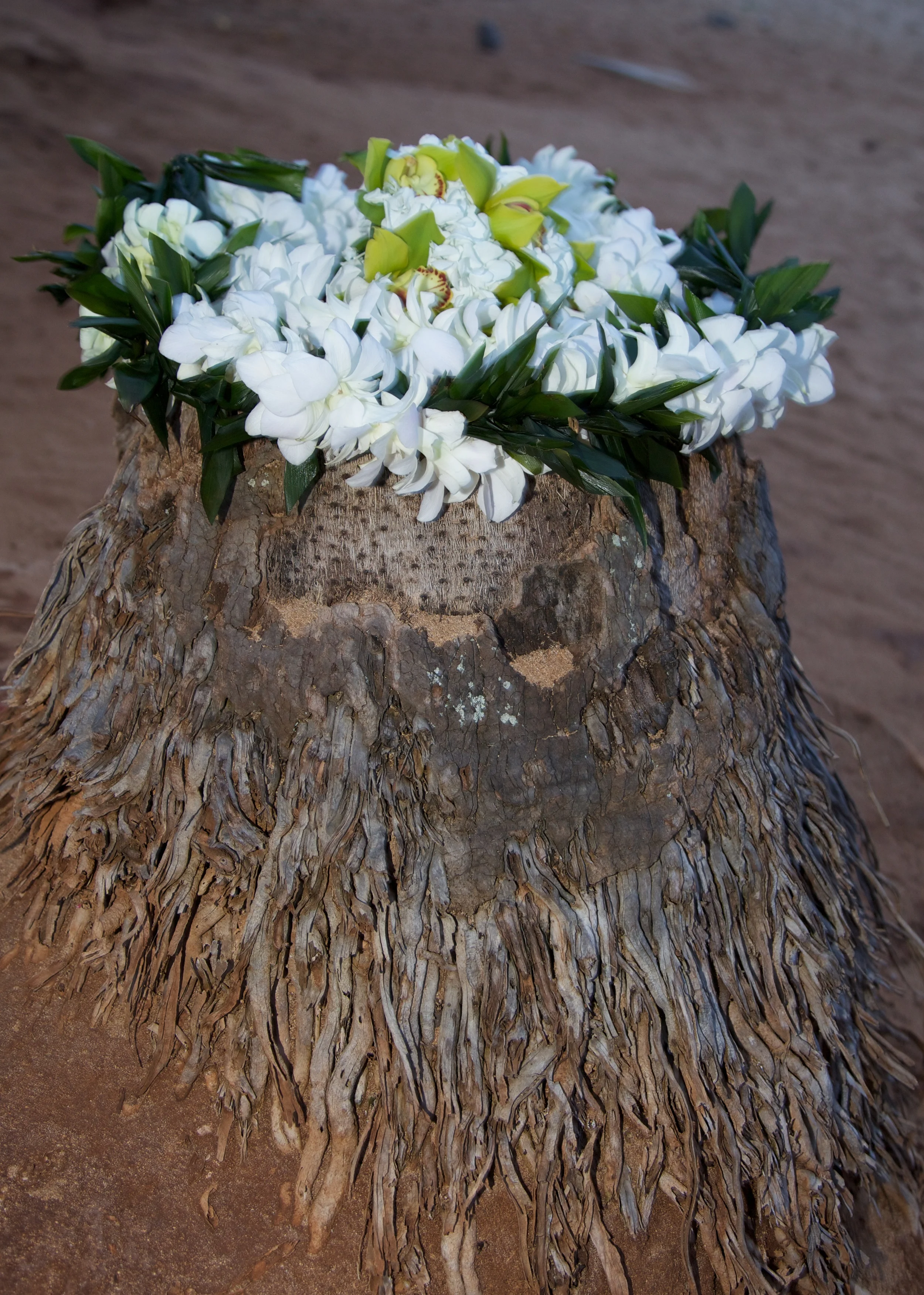 Wedding++28088+%2846+of+50%29-1766437702-O.jpg