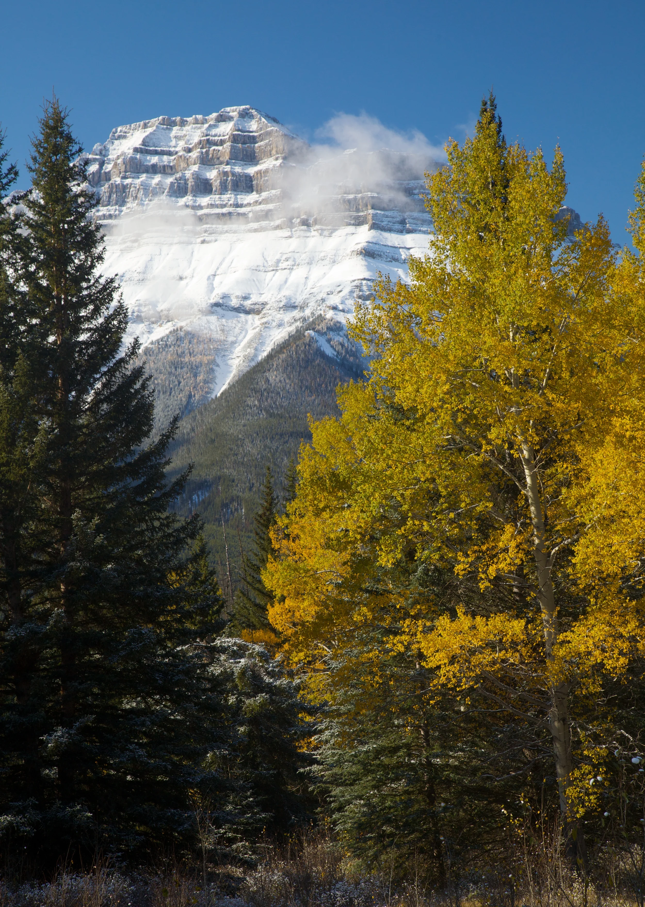 Banff++6338-683713200-O.jpg