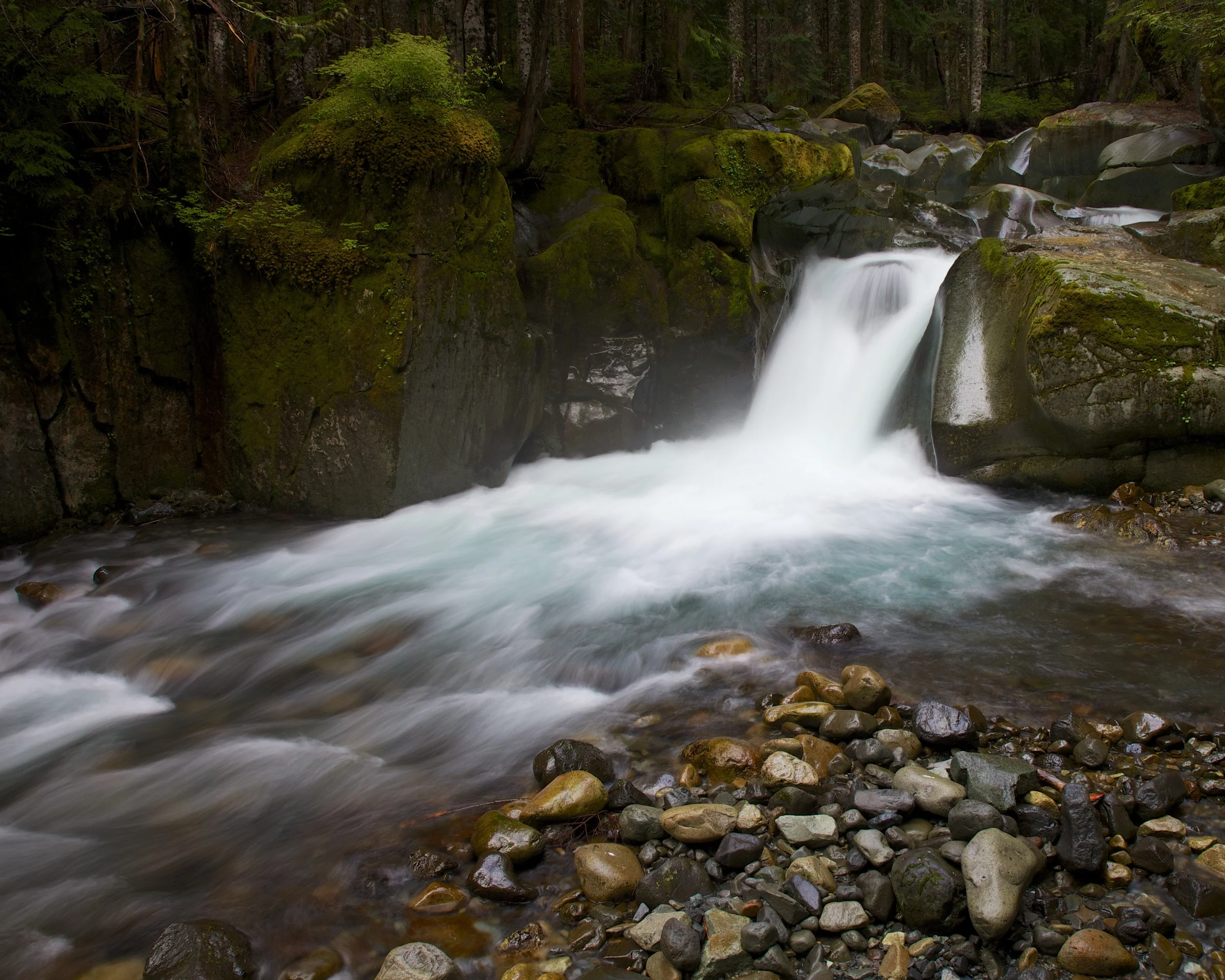 Rainier2++32978-1910129805-O.jpg