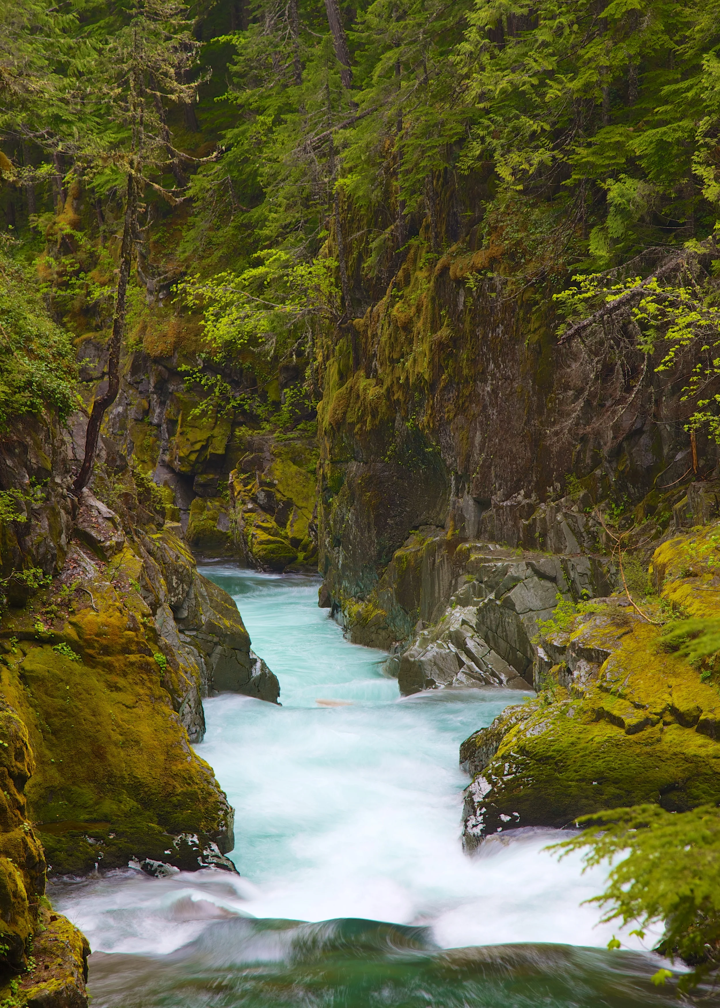 Rainier2++33071-1910122045-O.jpg