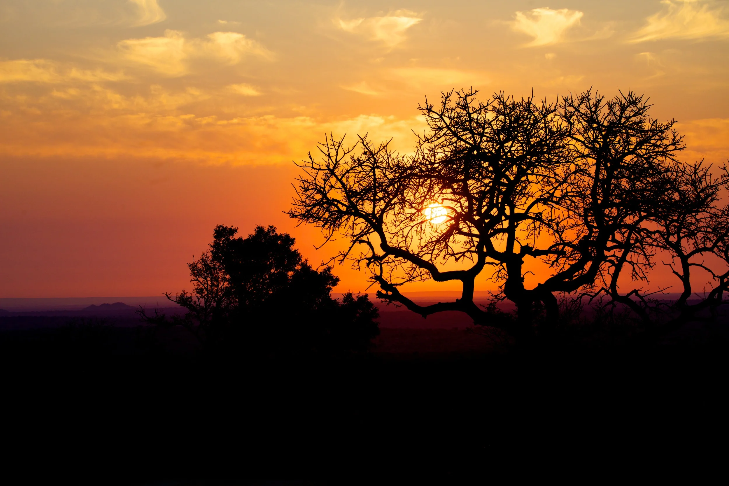 SAKruger++21343+-+Version+4-1608212079-O.jpg