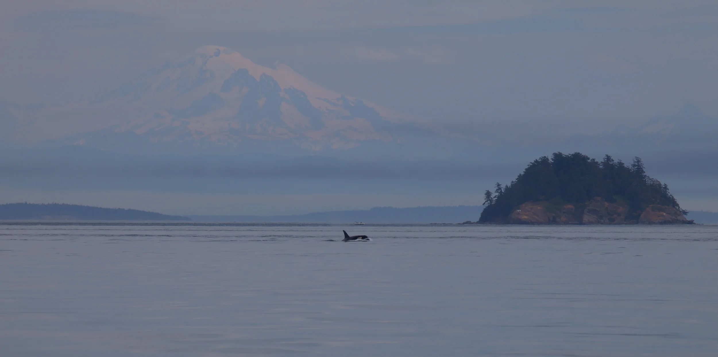 SaltSpring++4774-659367424-O.jpg
