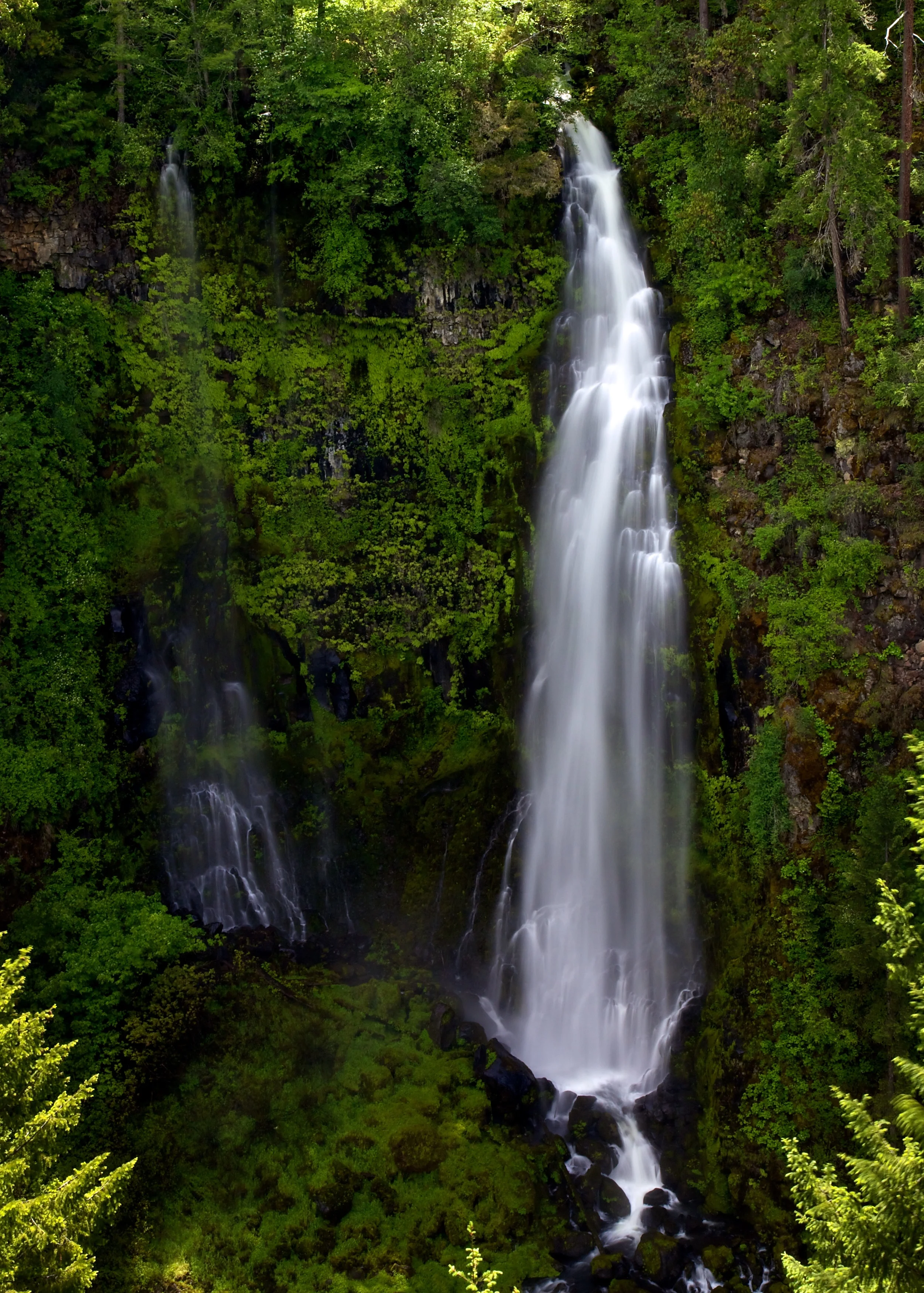 WA_OR++32176-1910136048-O.jpg
