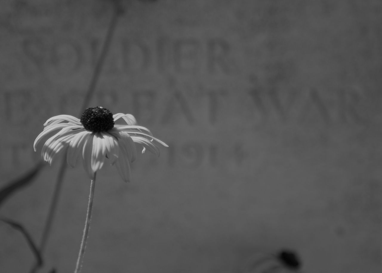 CRW_8595.jpg