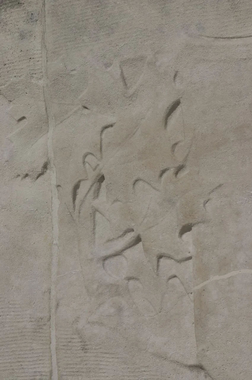 CRW_8556.jpg