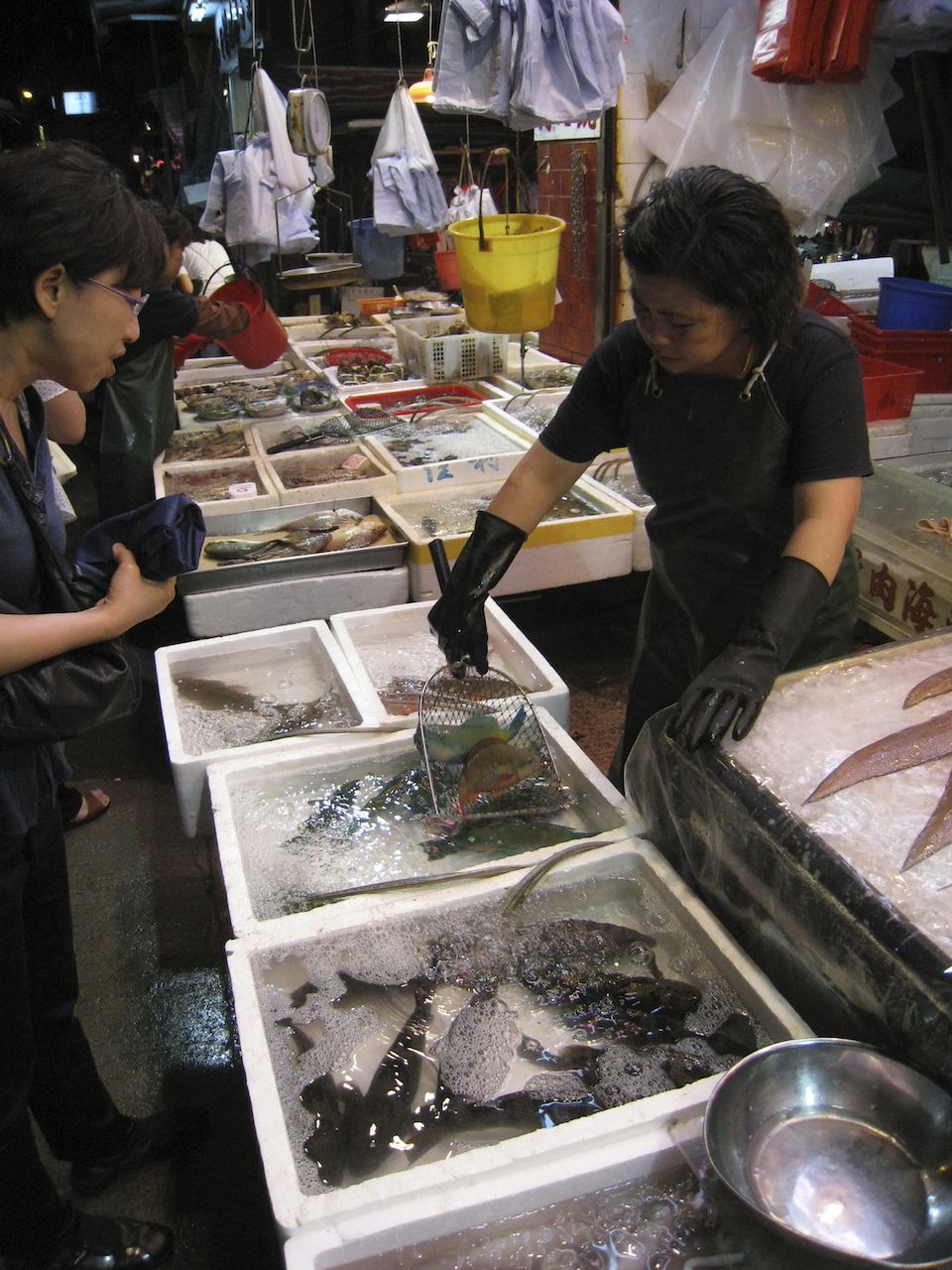 Picking up dinner at the local fishmonger 