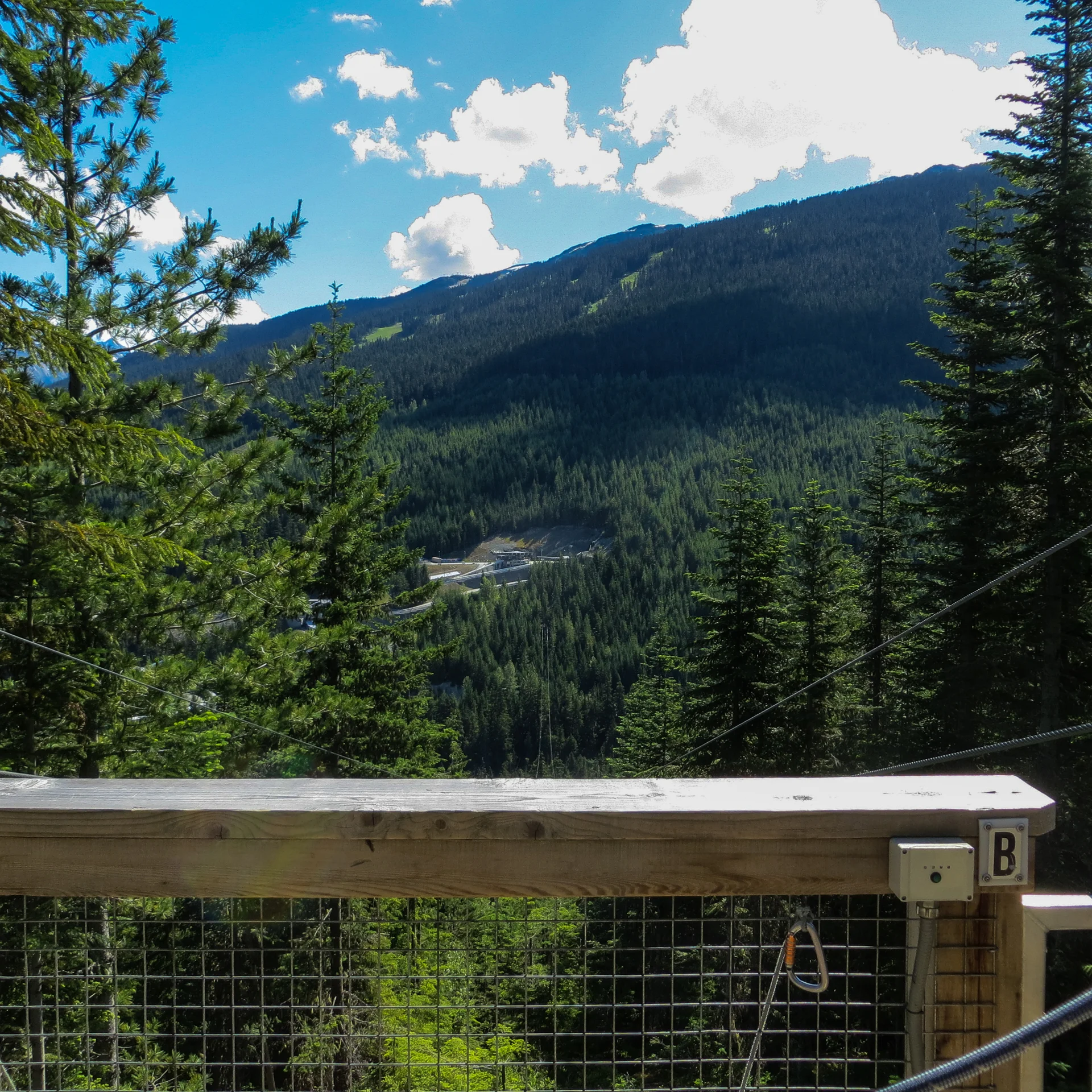 Whistler-9.jpg