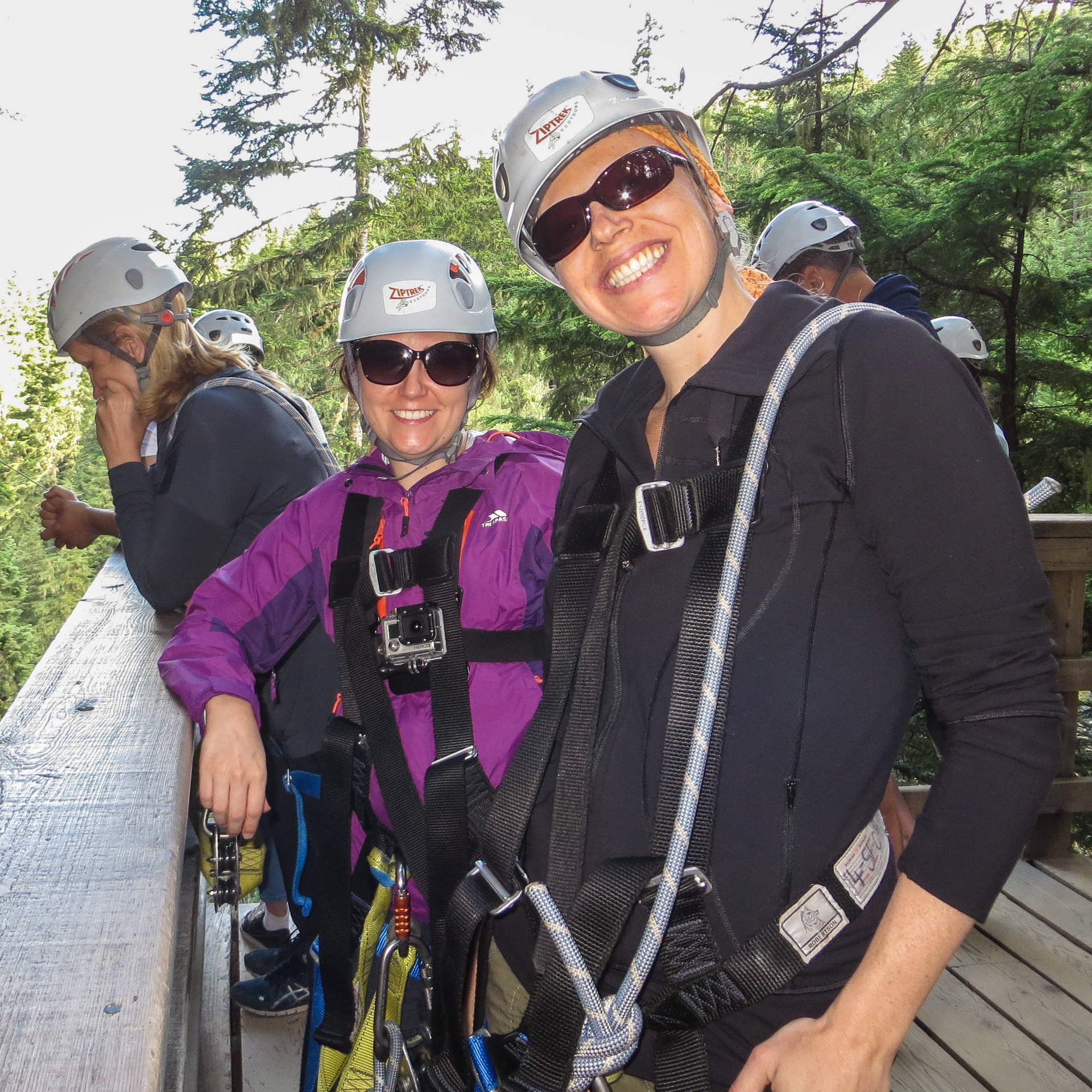 Whistler-11.jpg