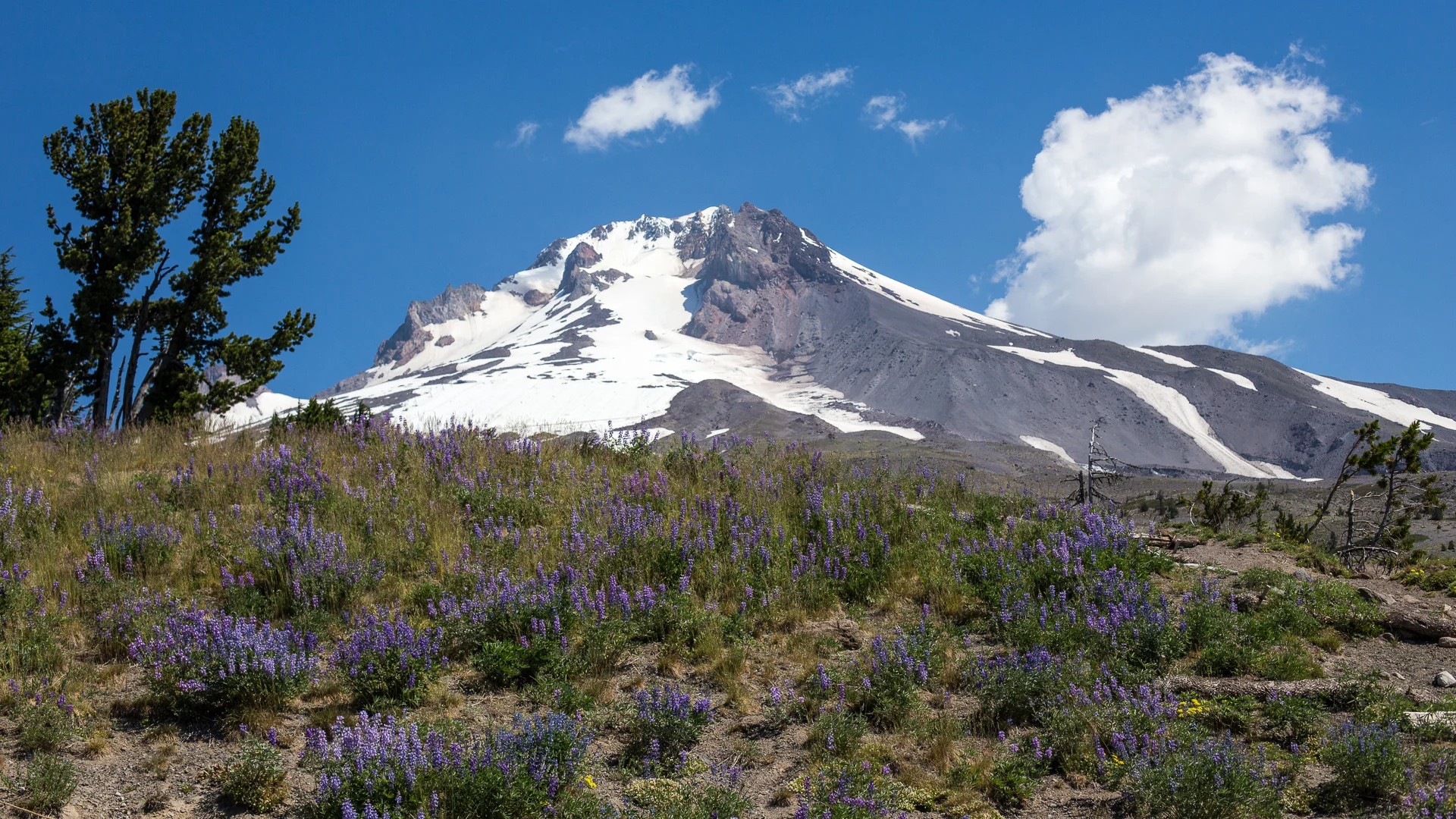 Hood River-32.jpg