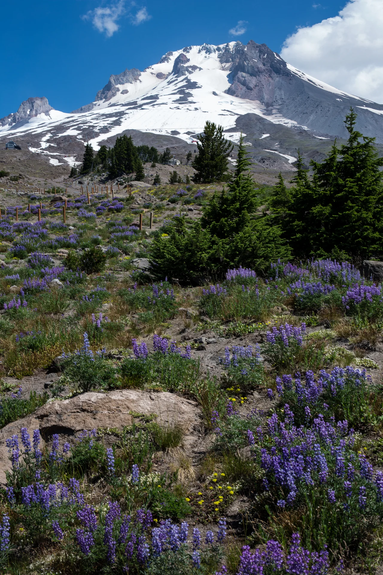 Hood River-41.jpg