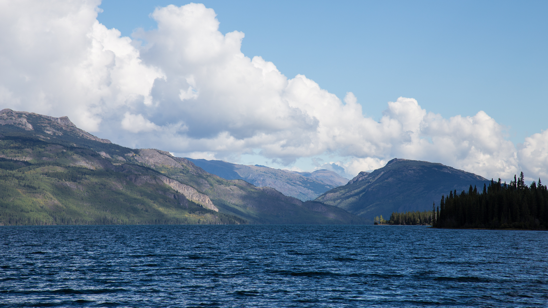 Yukon D5-4.jpg