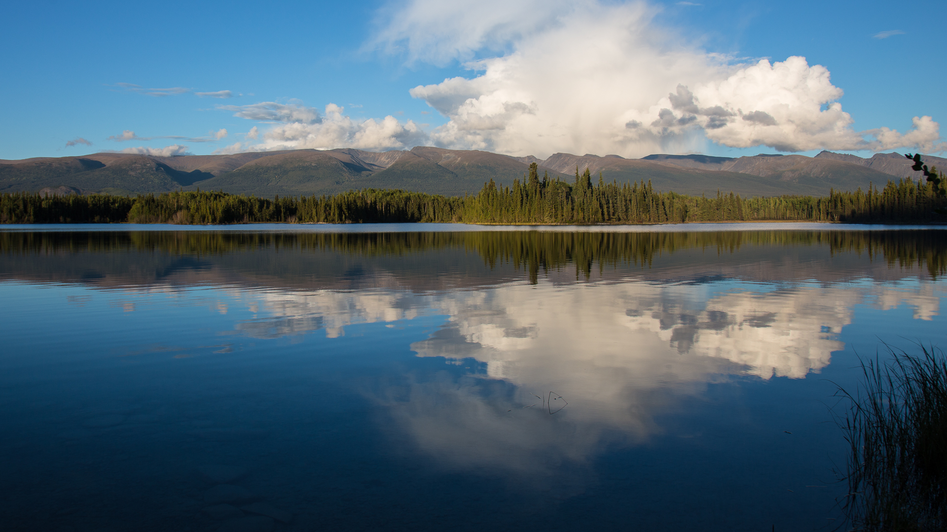 Yukon D5-27.jpg