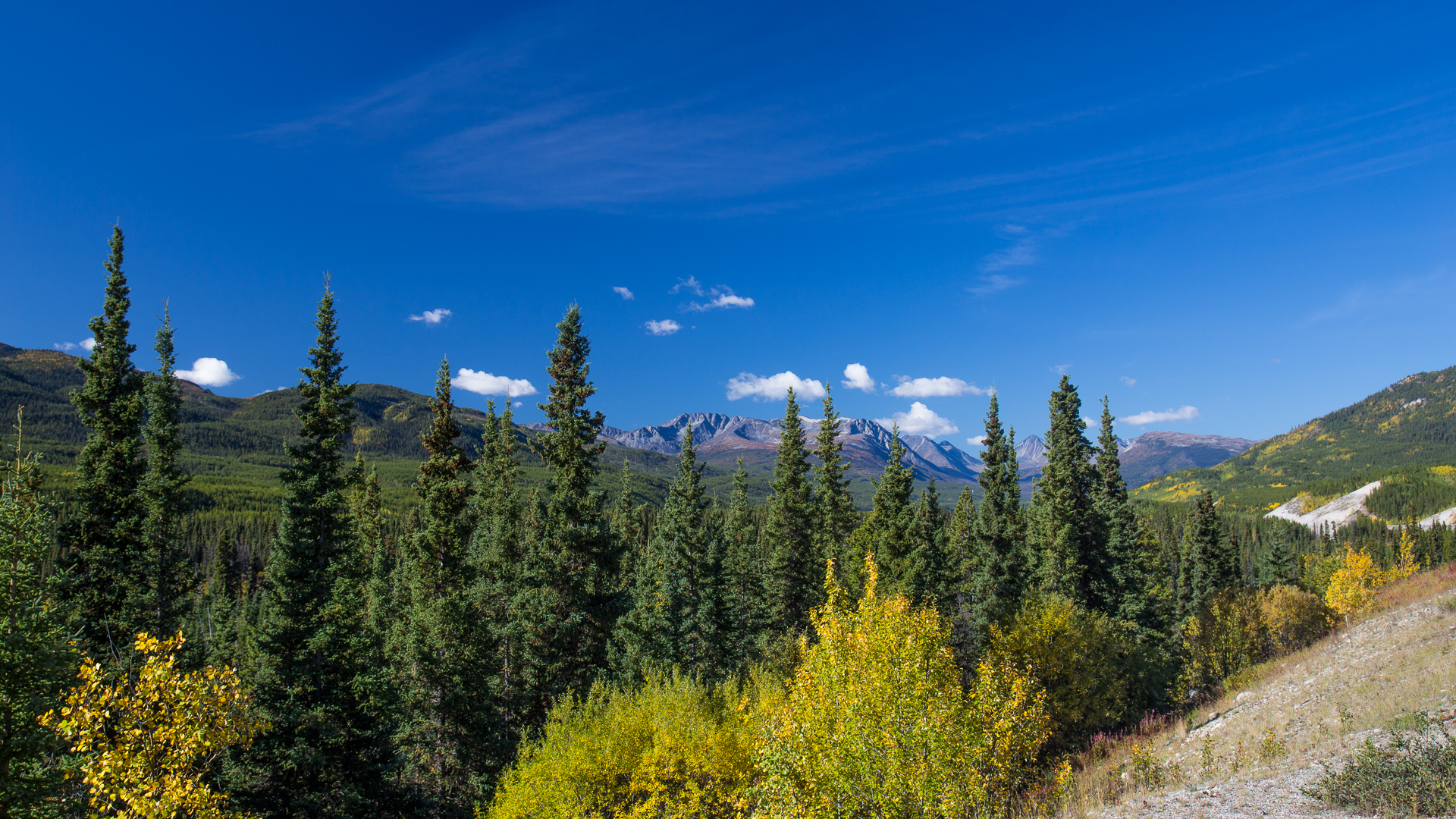 Yukon roadside viewpoint