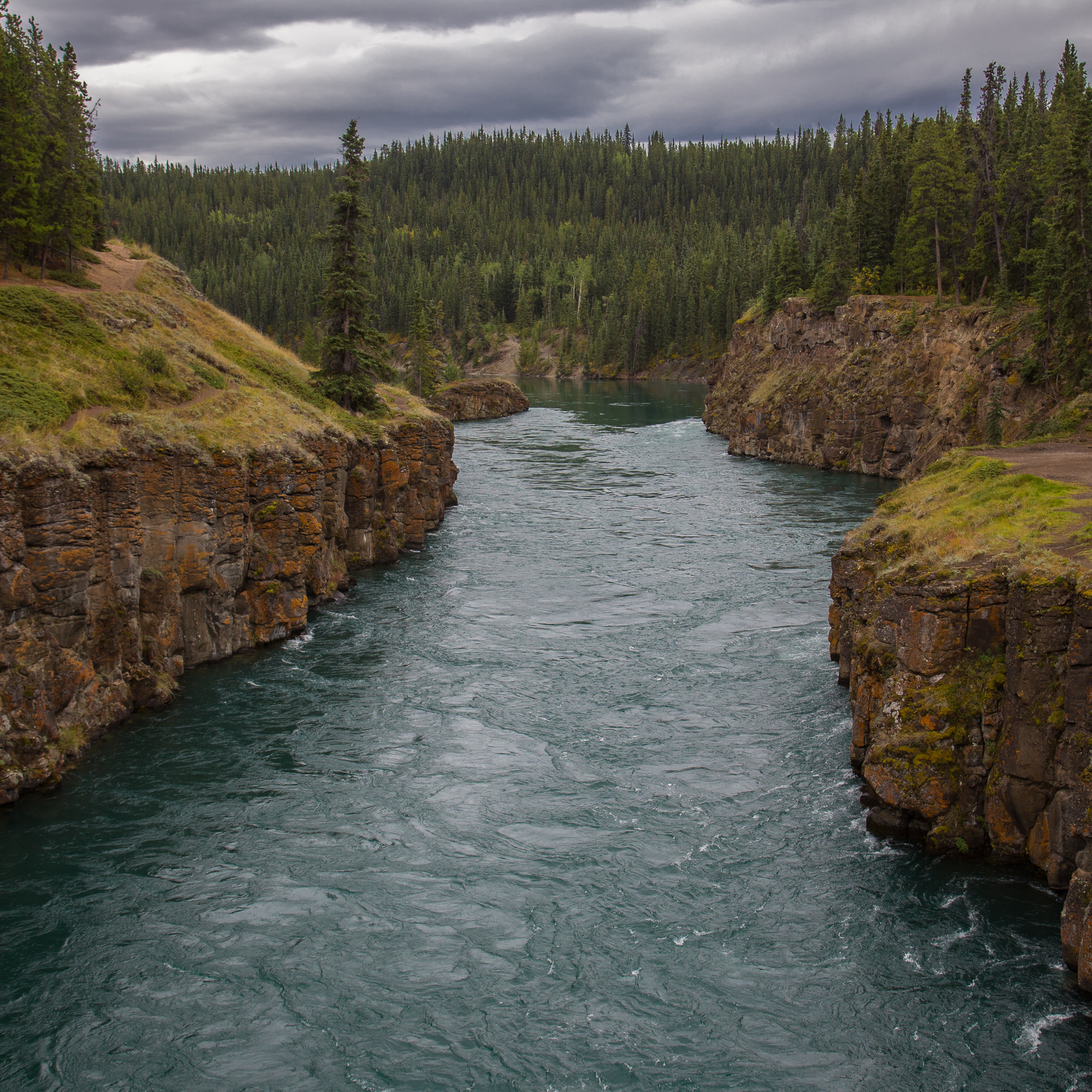 Yukon D7-6.jpg