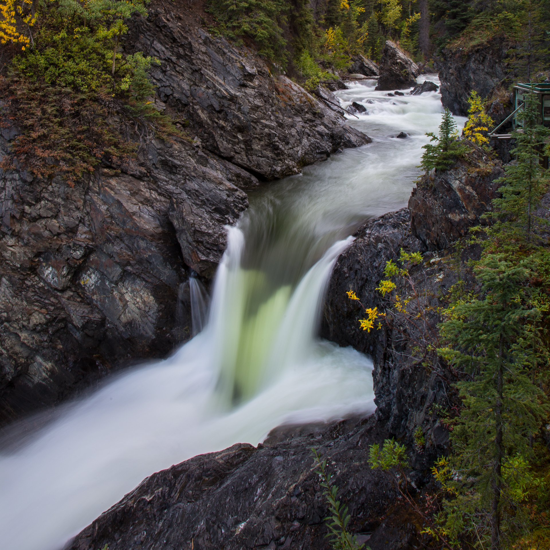 Yukon D9-5.jpg
