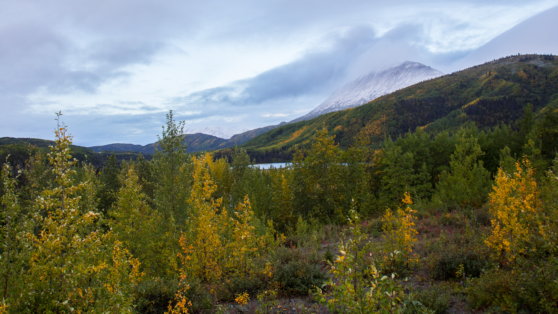 Yukon D9-1.jpg