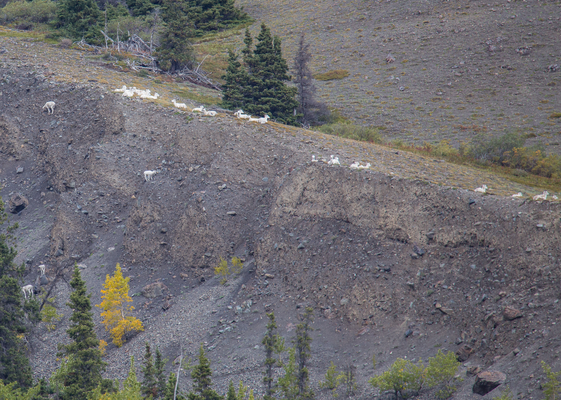 Yukon D9-18.jpg