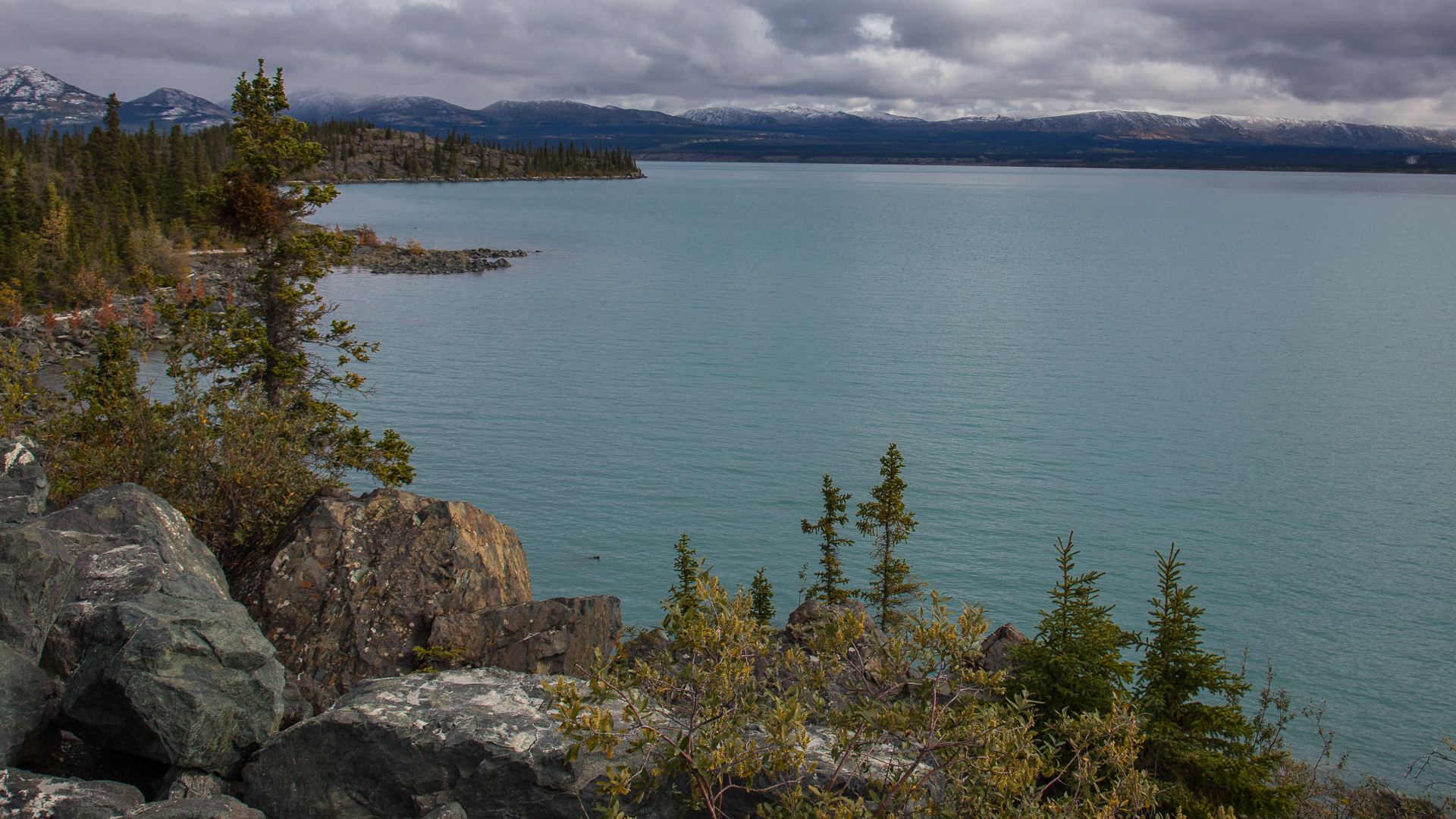 Yukon D9-26.jpg
