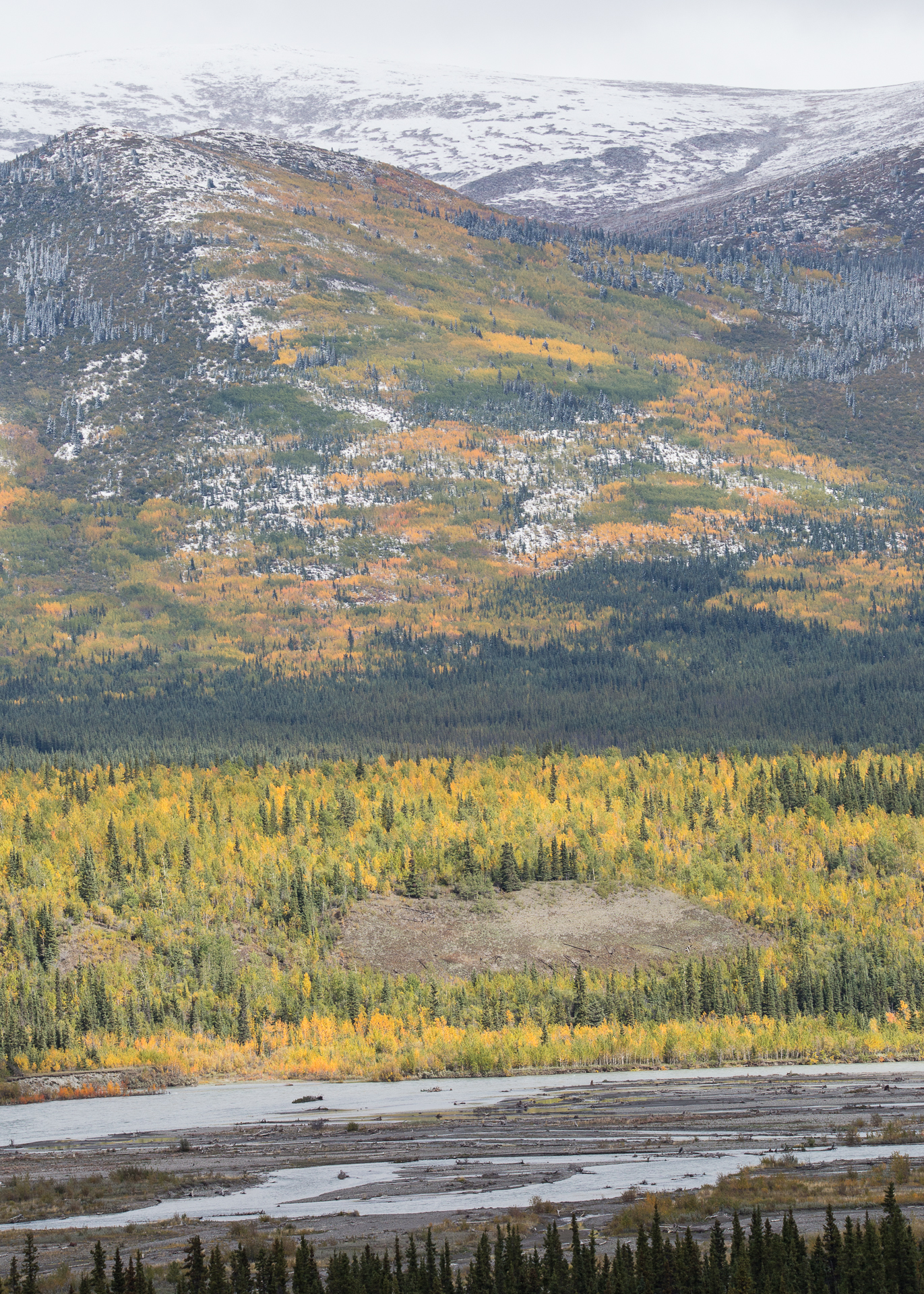 Yukon D9-64.jpg