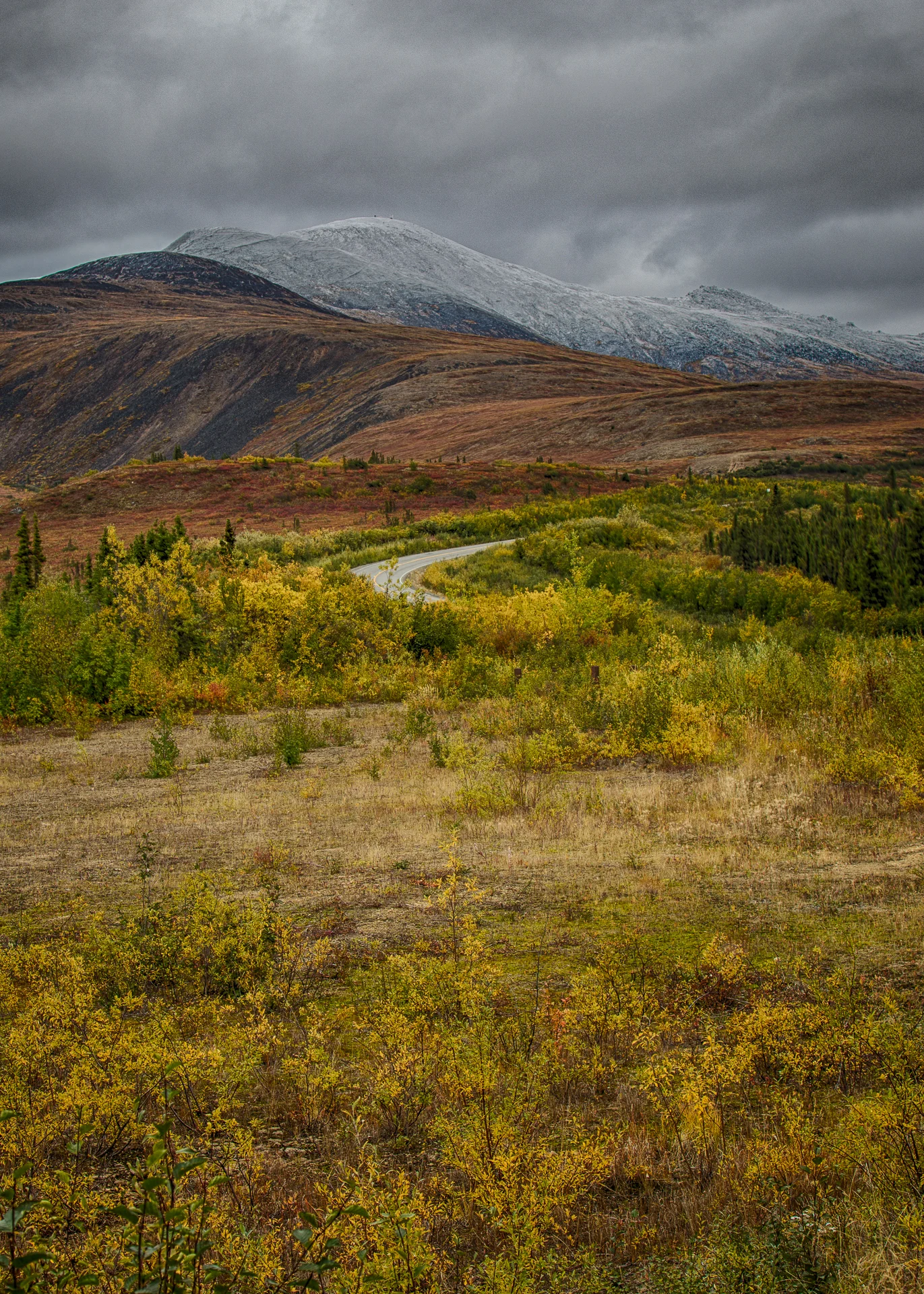 Yukon D10-15.jpg