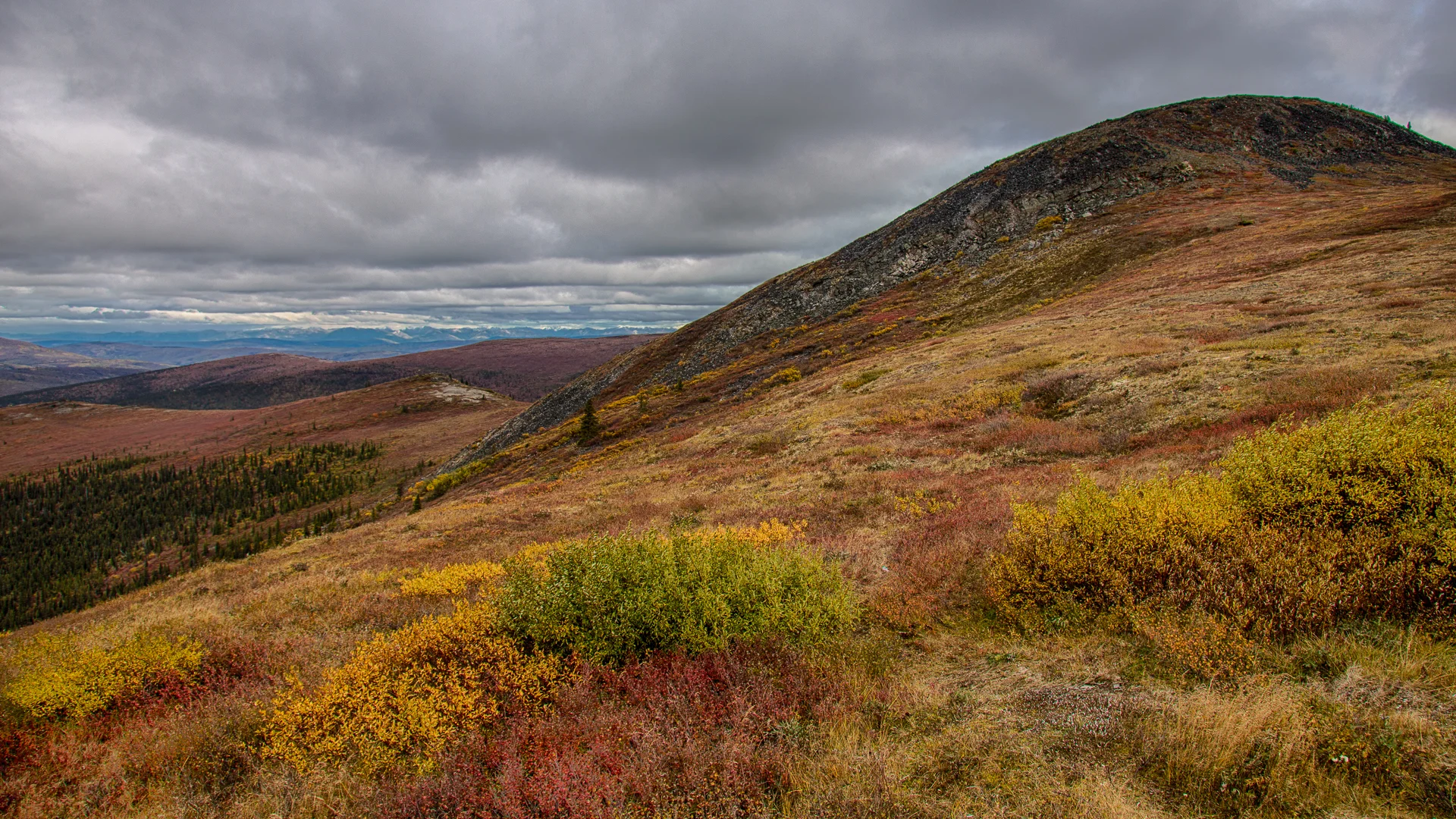 Yukon D10-33.jpg