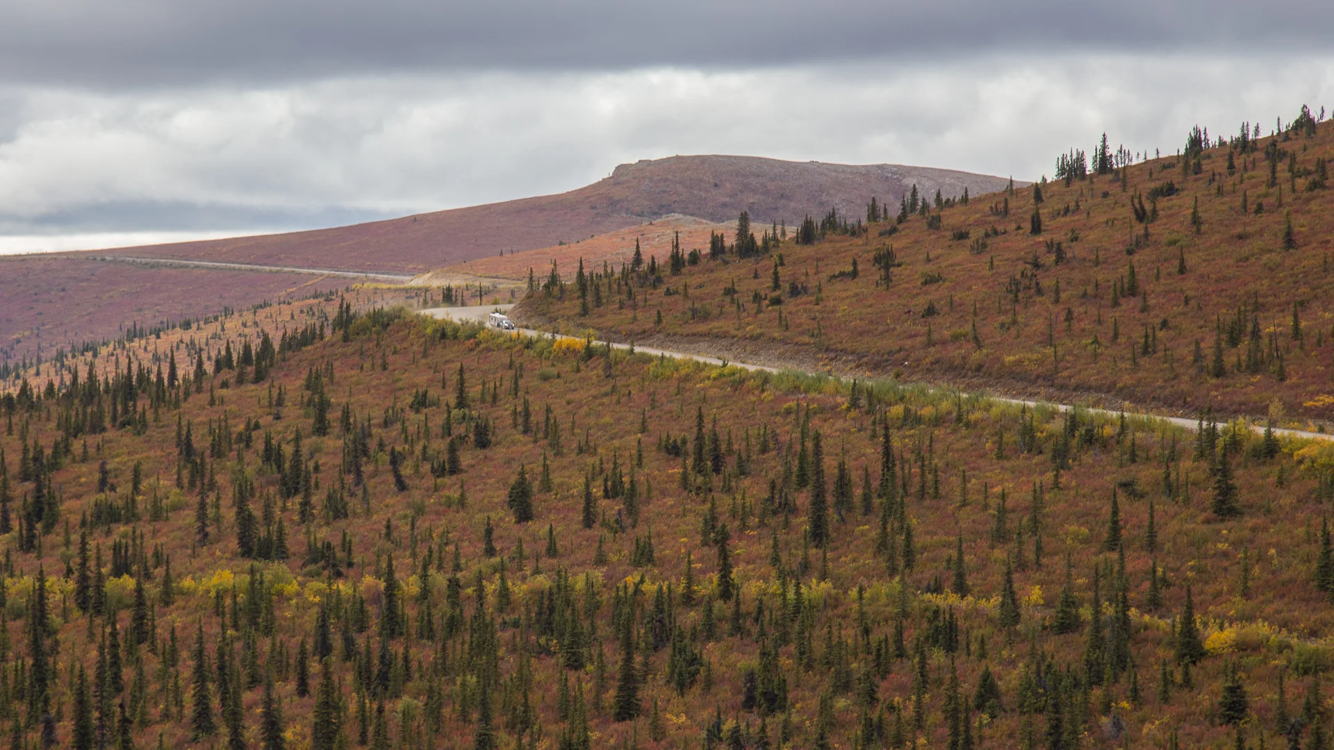 Yukon D10-41.jpg