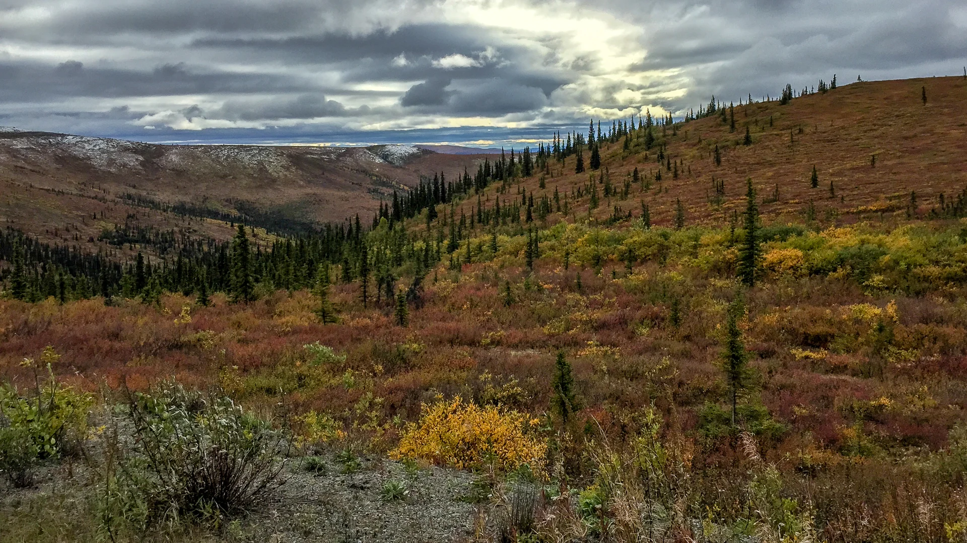 Yukon D10-45.jpg