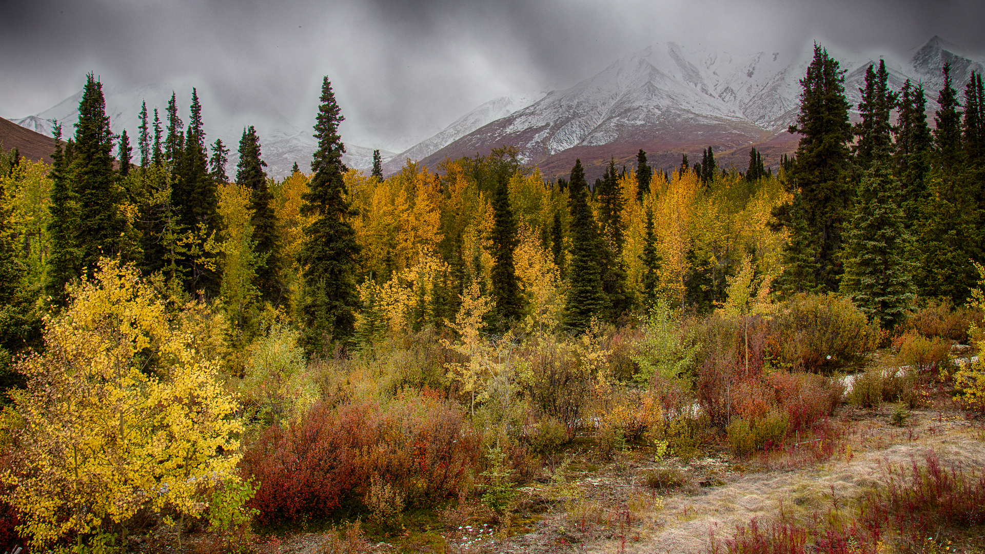Some more stunning scenery.