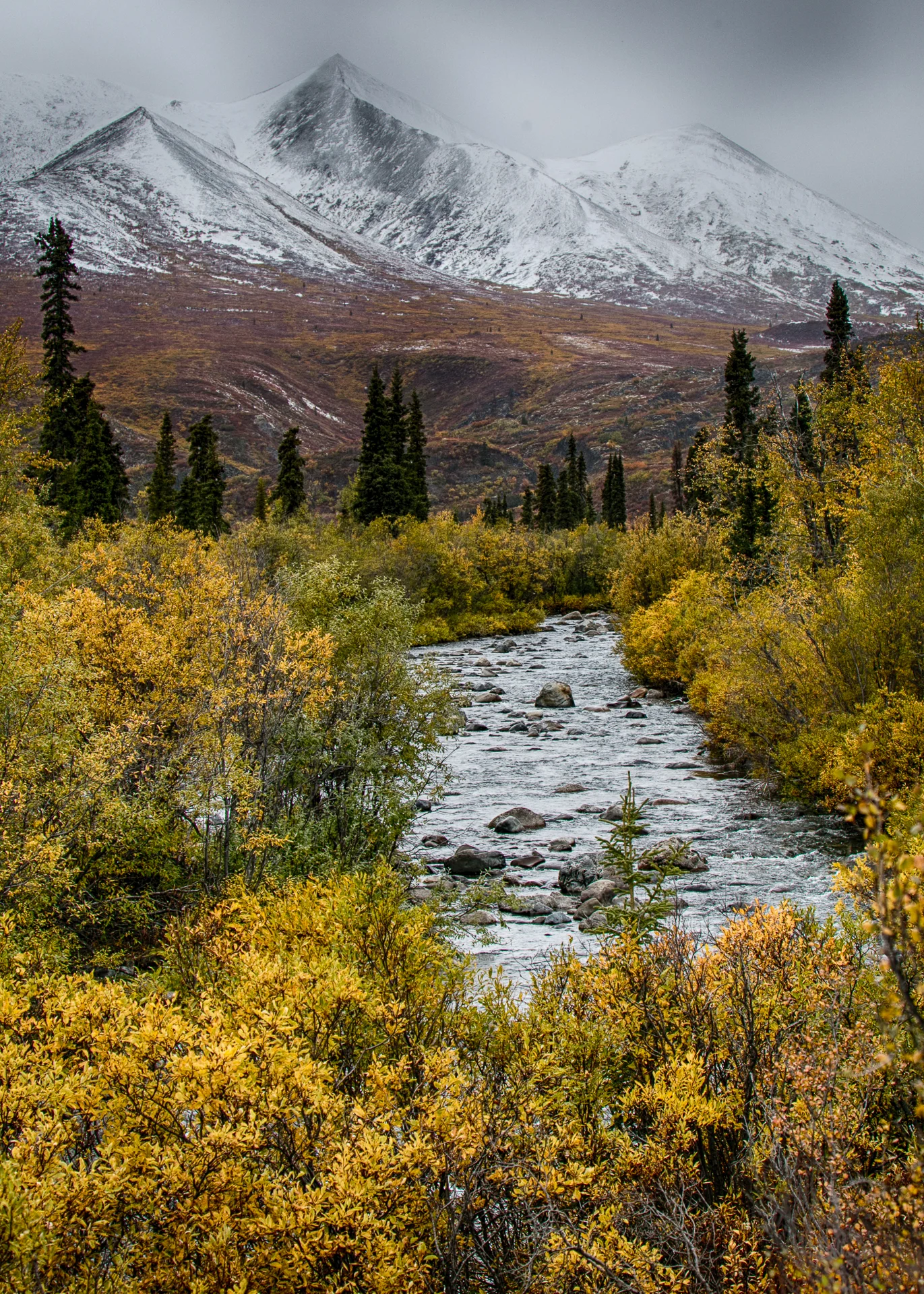Yukon D11-49.jpg